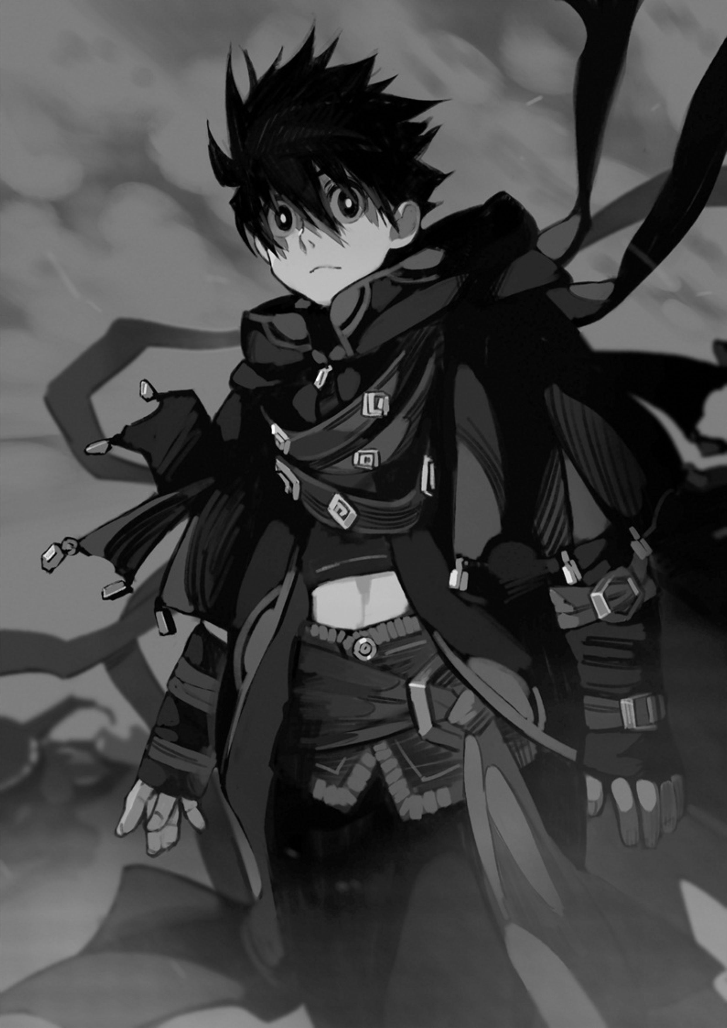 Isekai Apocalypse Mynoghra V4 Illustration - Megumi Novel