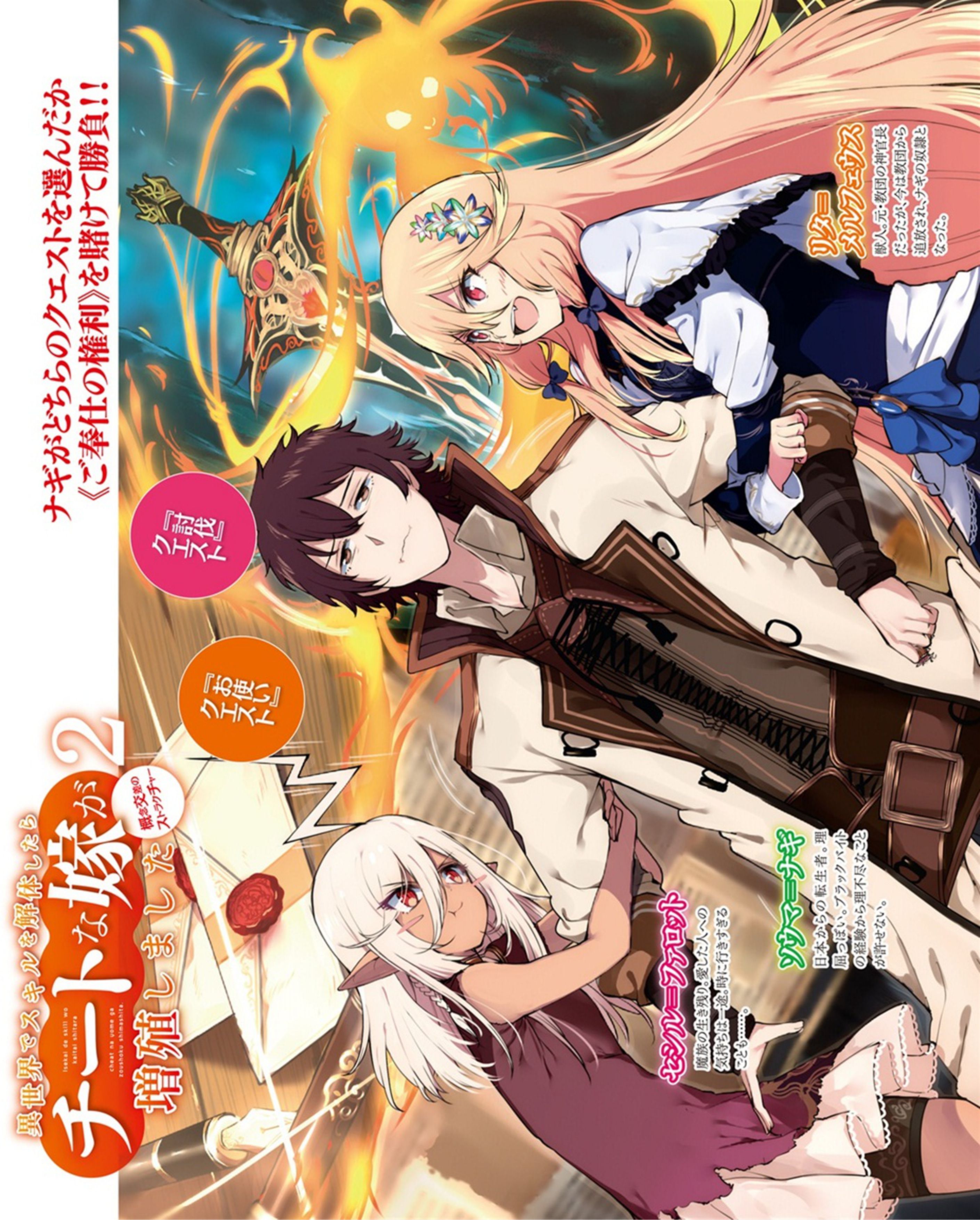 Isekai de Skill wo Kaitai V2 Illustration - Megumi Novel