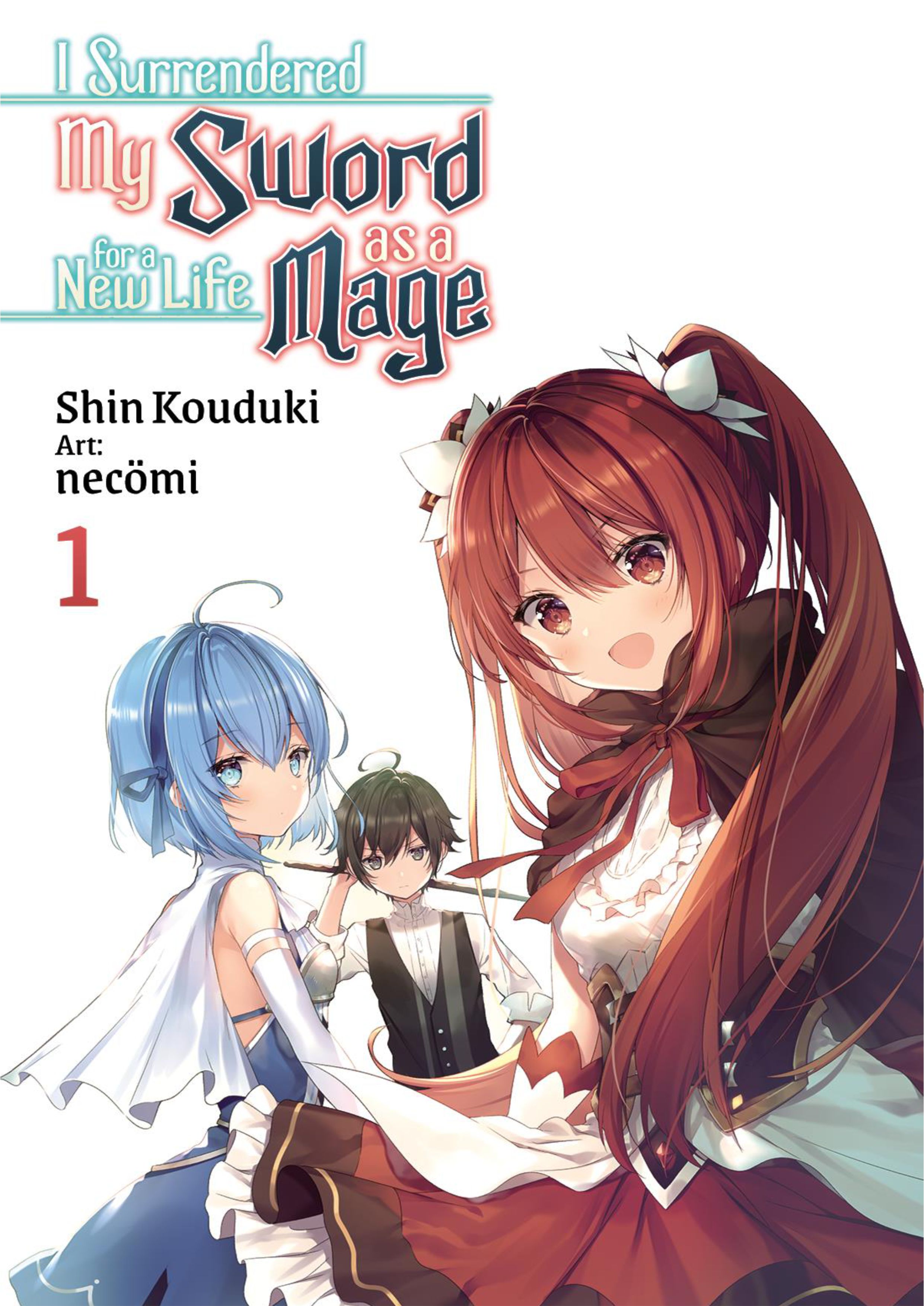 Isekai Mahou ni Akogareru V1 Illustration - Megumi Novel