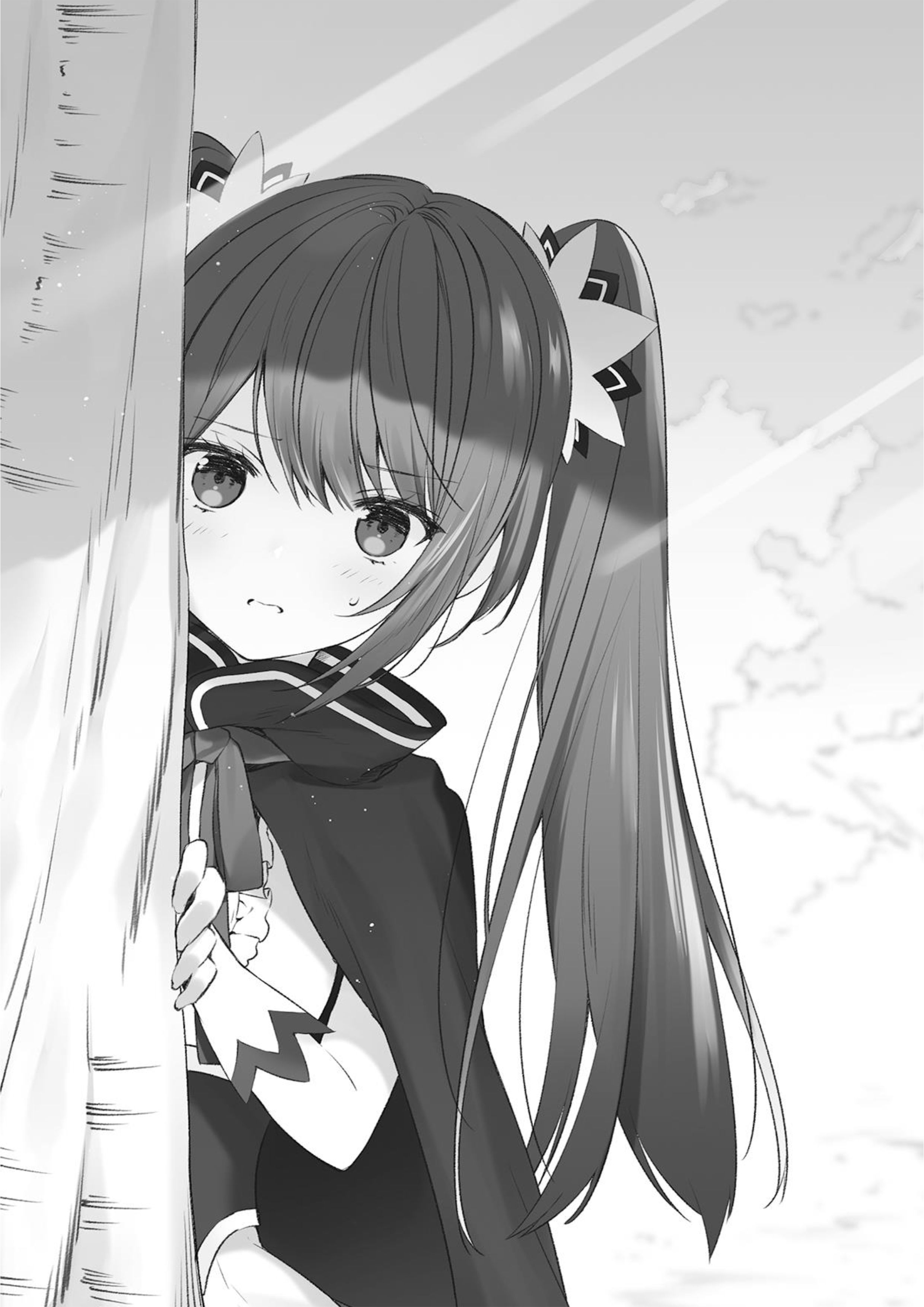 Isekai Mahou ni Akogareru V1 Illustration - Megumi Novel