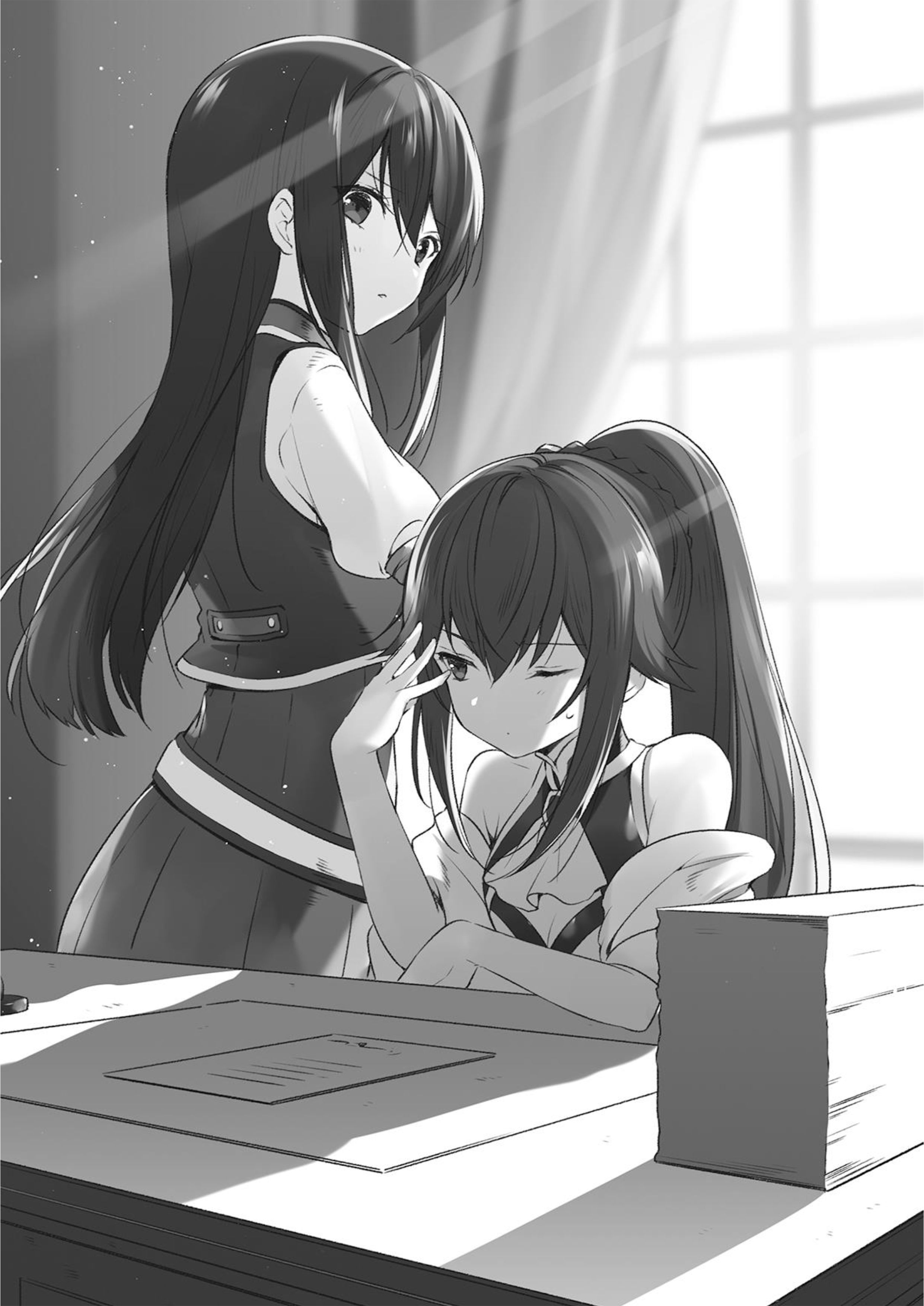 Isekai Mahou ni Akogareru V1 Illustration - Megumi Novel