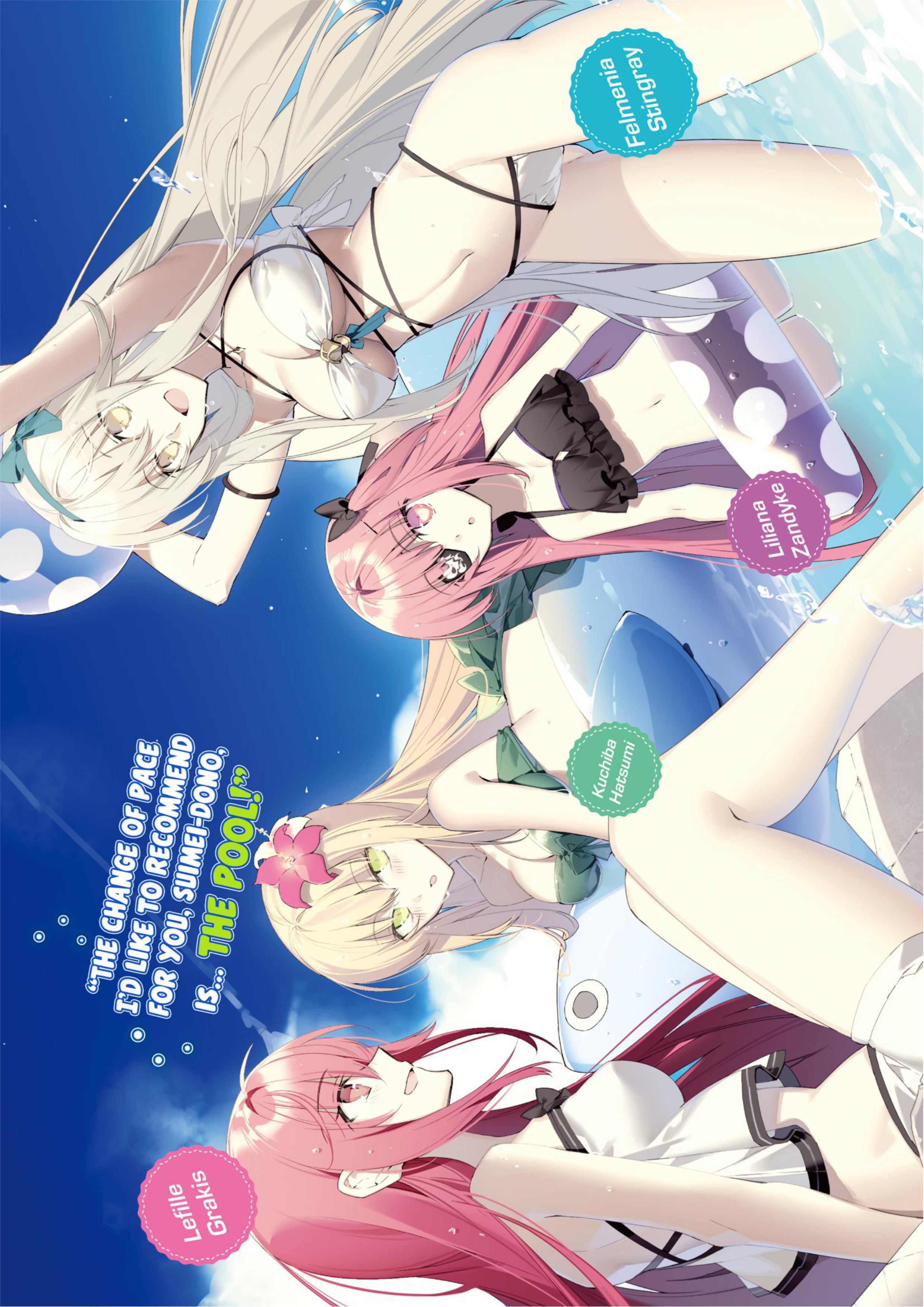 Isekai Mahou wa Okureteru! V8 Illustration - Megumi Novel