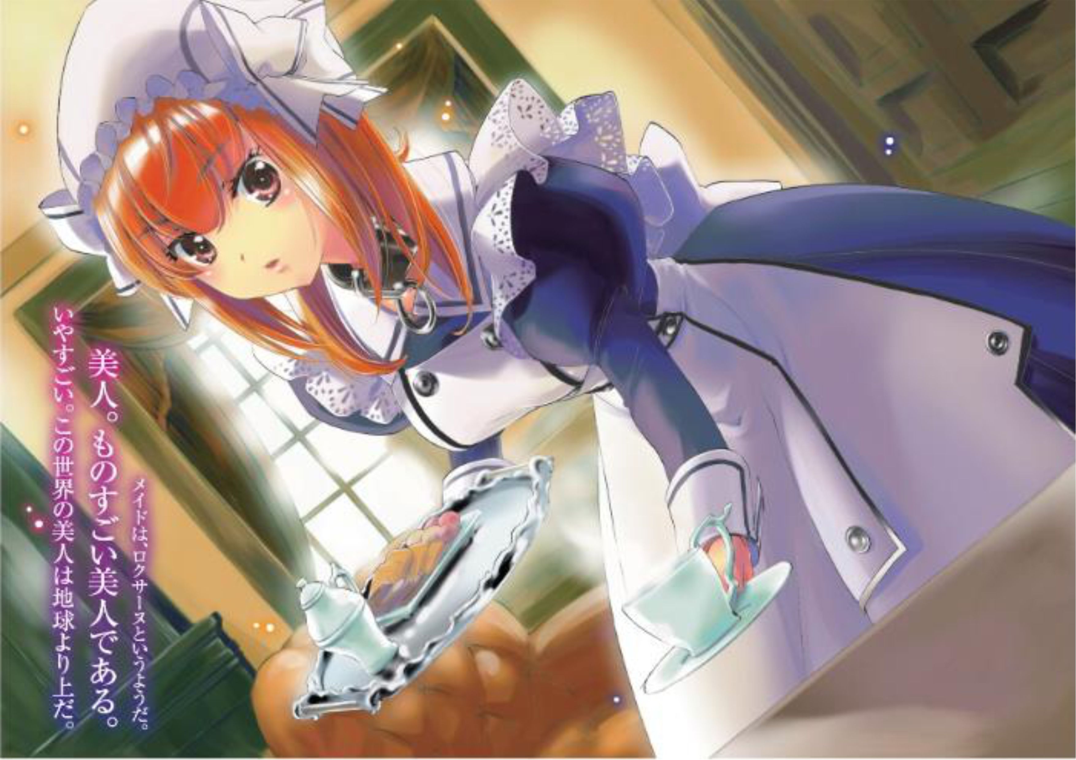 Isekai Meikyuu De Dorei Harem wo V1 Illustration - Megumi Novel