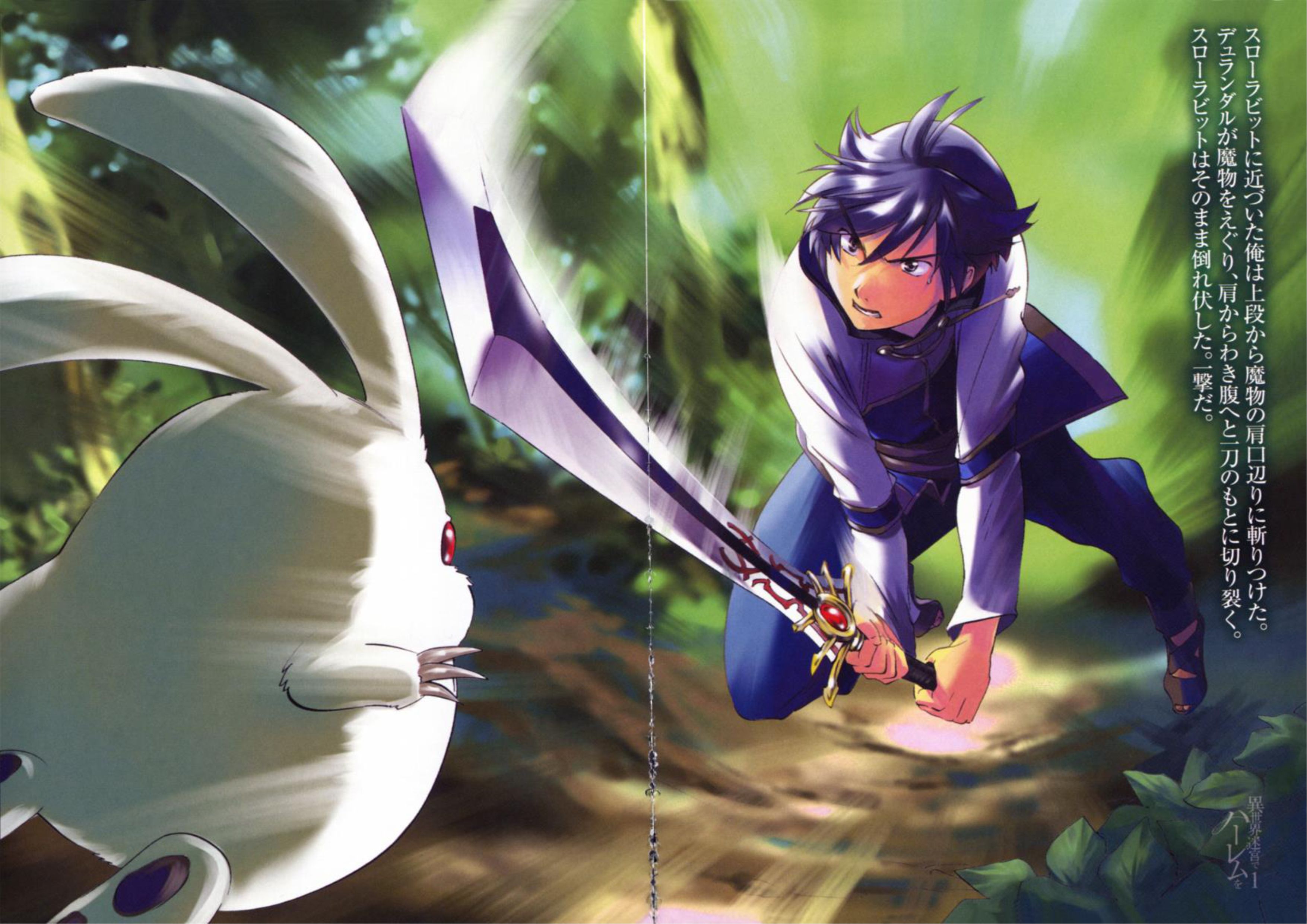 Isekai Meikyuu De Dorei Harem wo V1 Illustration - Megumi Novel