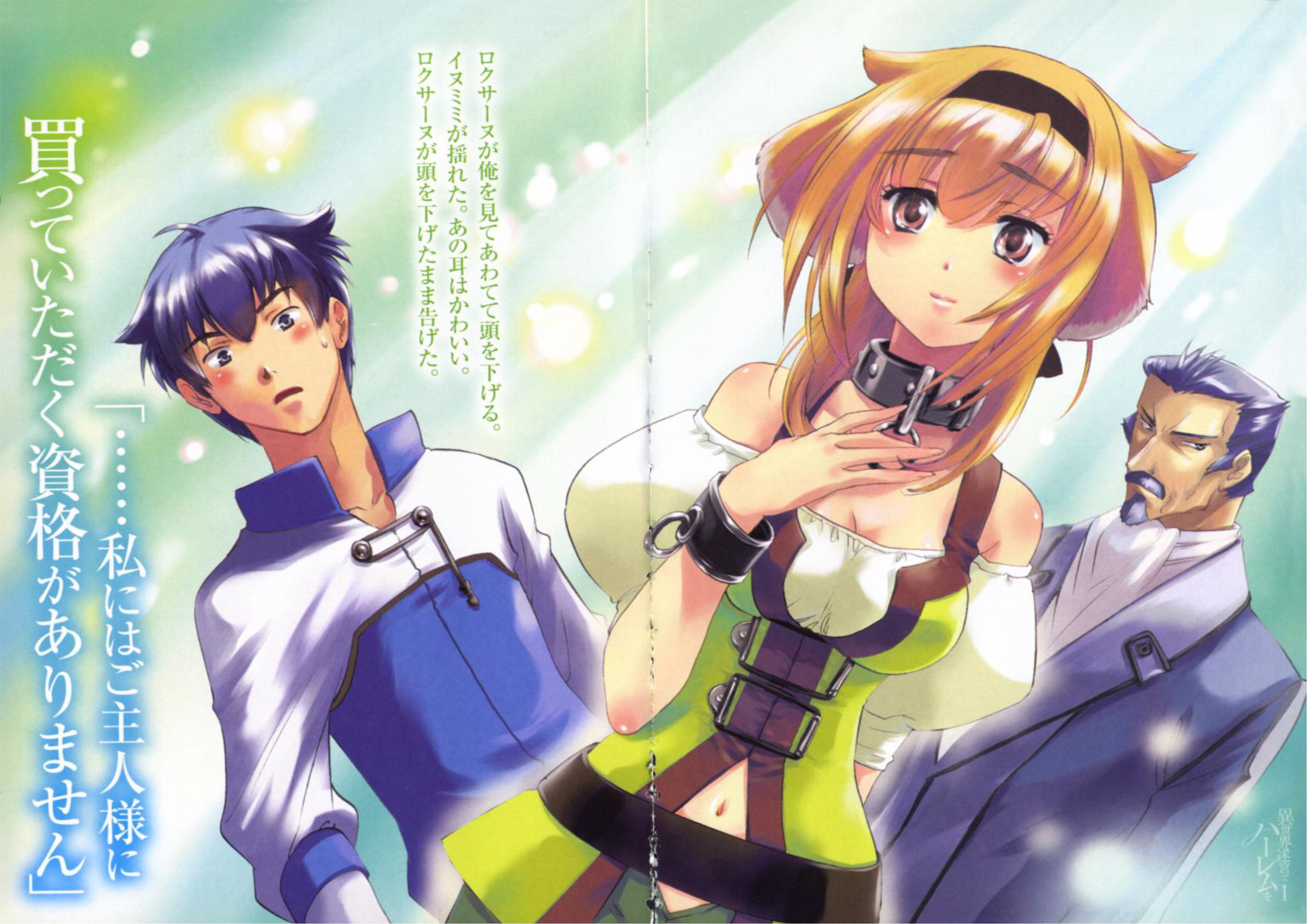 Isekai Meikyuu De Dorei Harem wo V1 Illustration - Megumi Novel