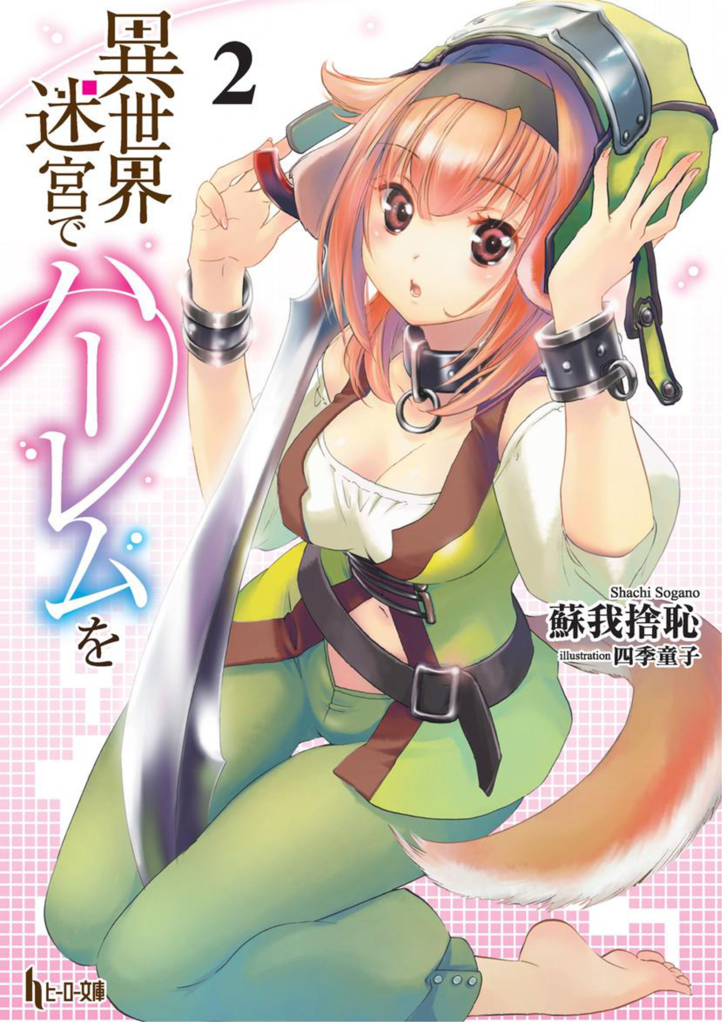 Isekai Meikyuu De Dorei Harem wo V2 Illustration - Megumi Novel