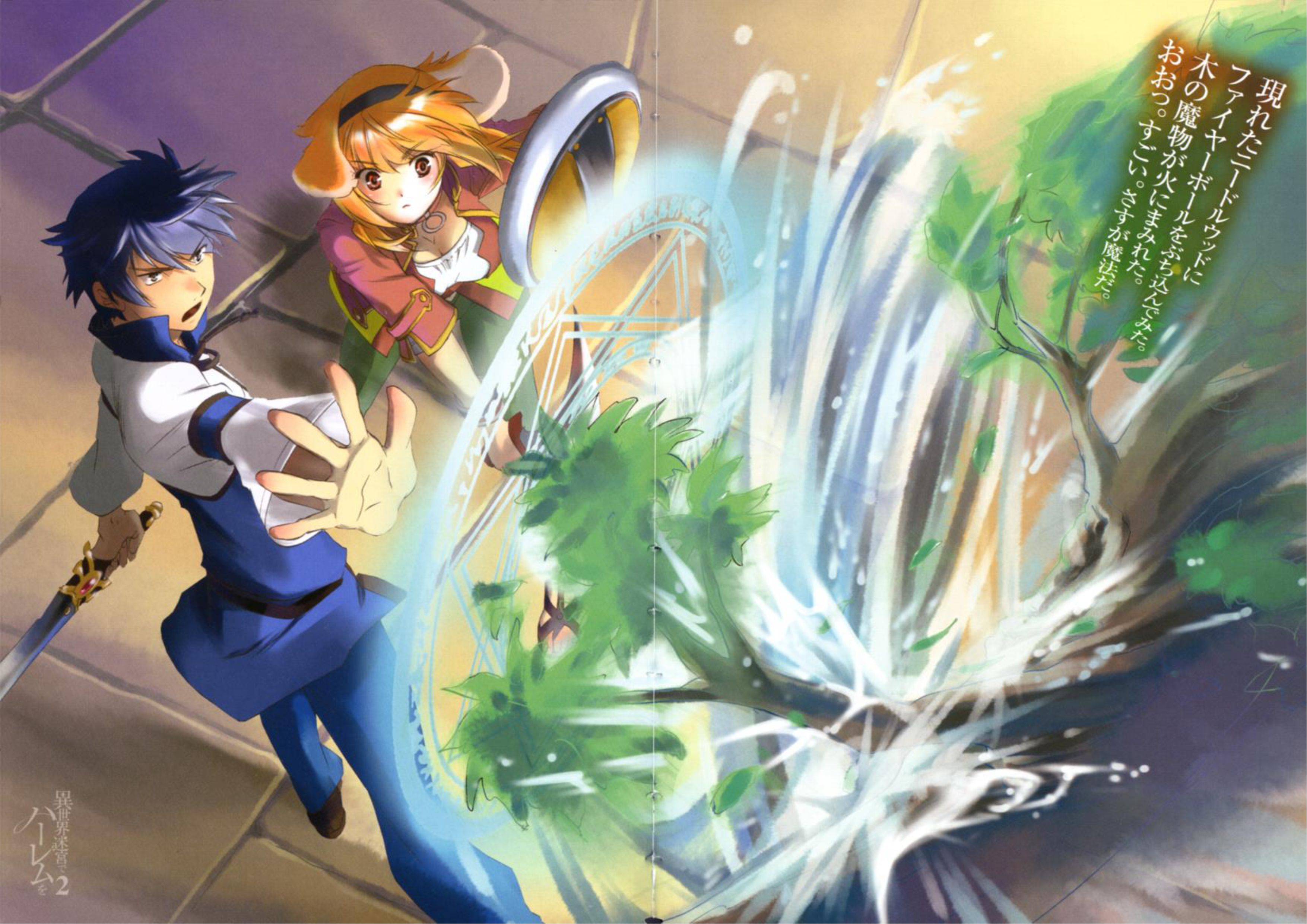 Isekai Meikyuu De Dorei Harem wo V2 Illustration - Megumi Novel