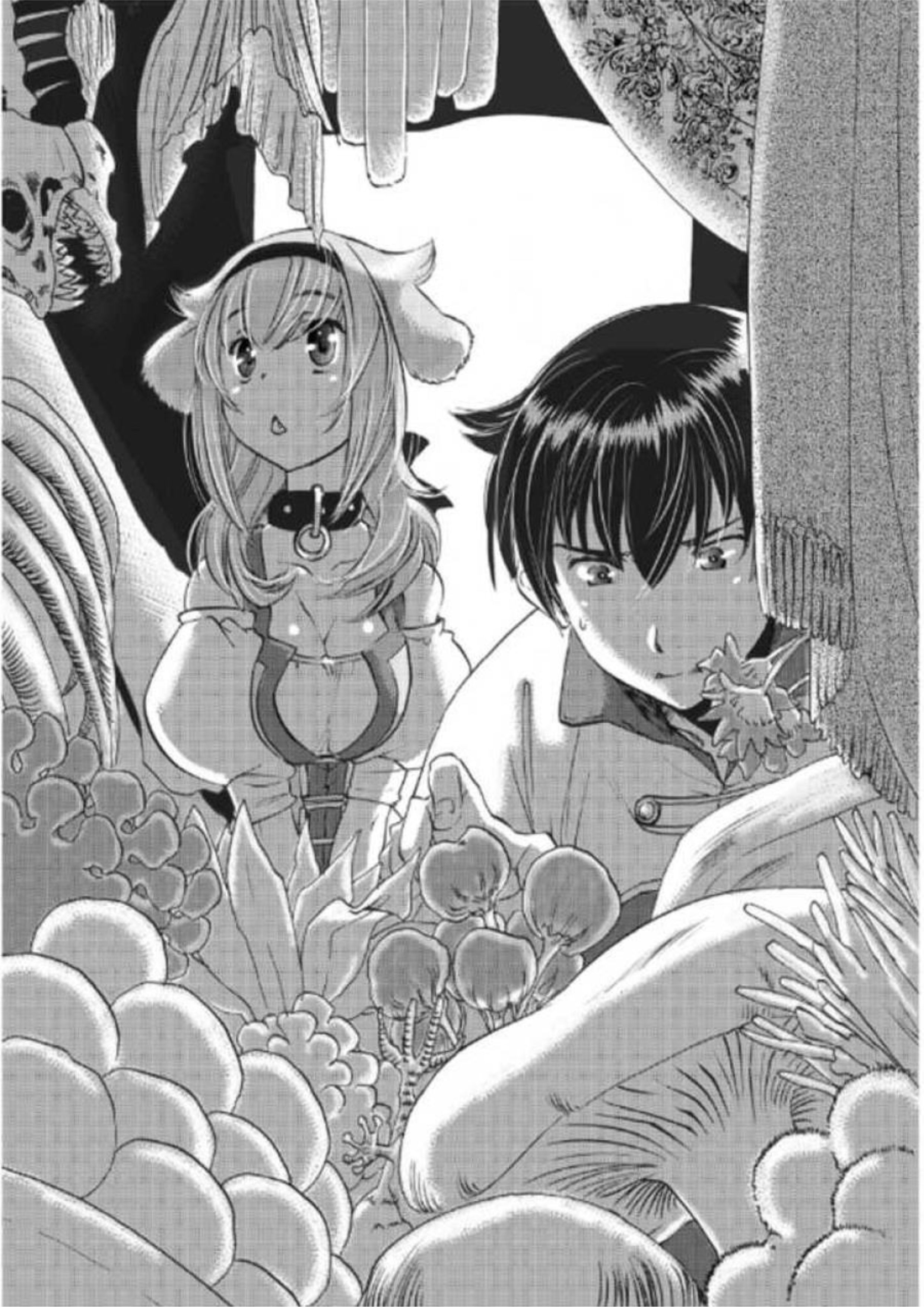 Isekai Meikyuu De Dorei Harem wo V3 Illustration - Megumi Novel