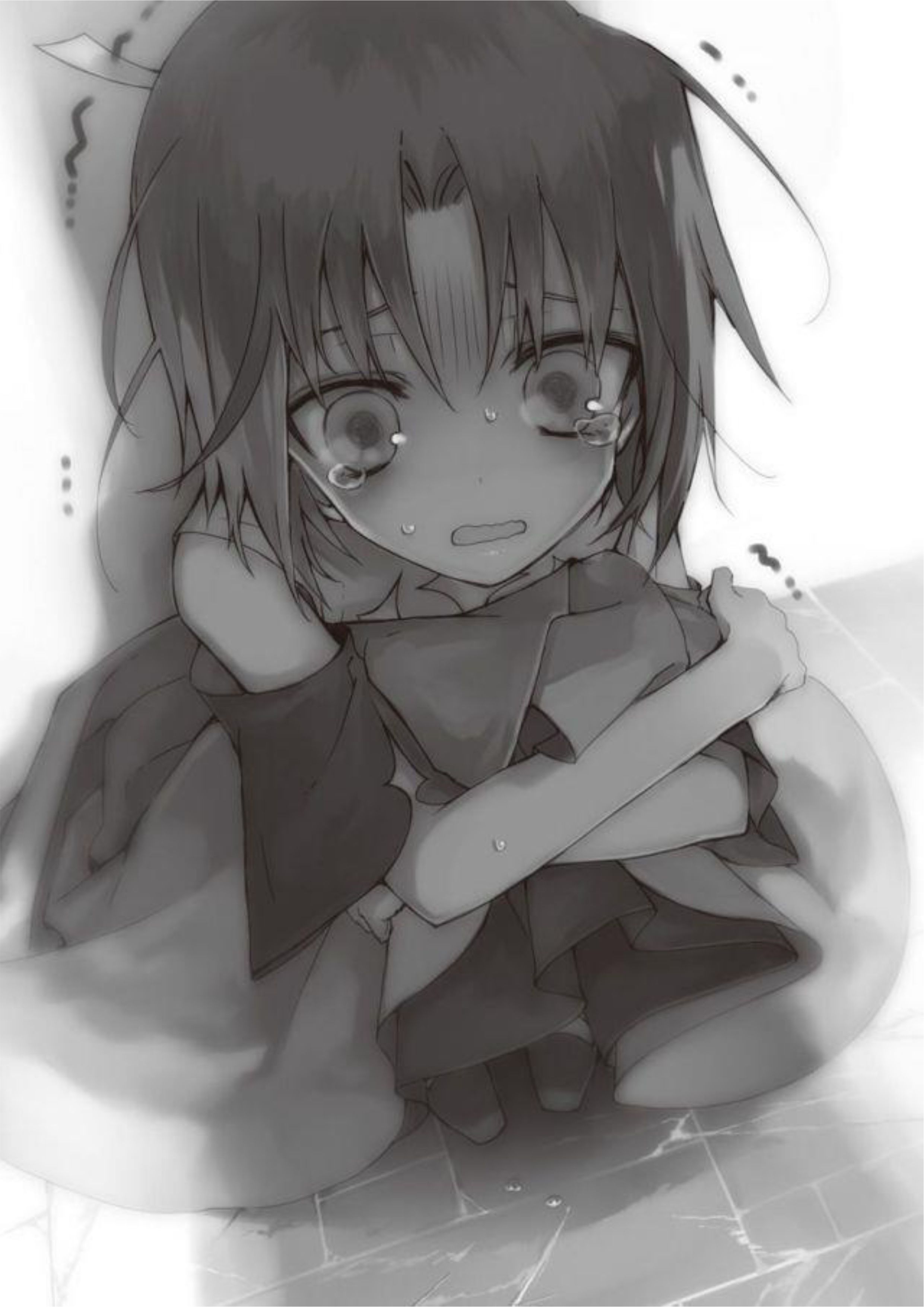 Isekai Meikyuu no Saishinbu wo Mezasou V2 Illustration - Megumi Novel