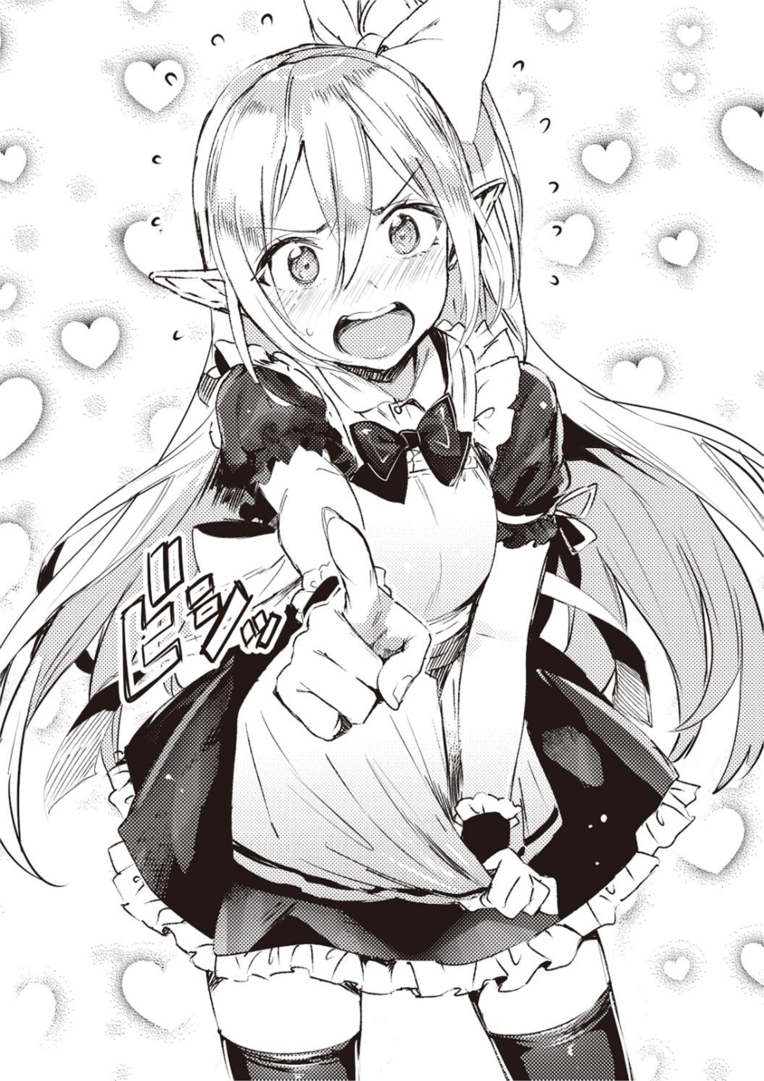 Isekai Nara NEET ga Hataraku to Omotta V2 Illustration - Megumi Novel