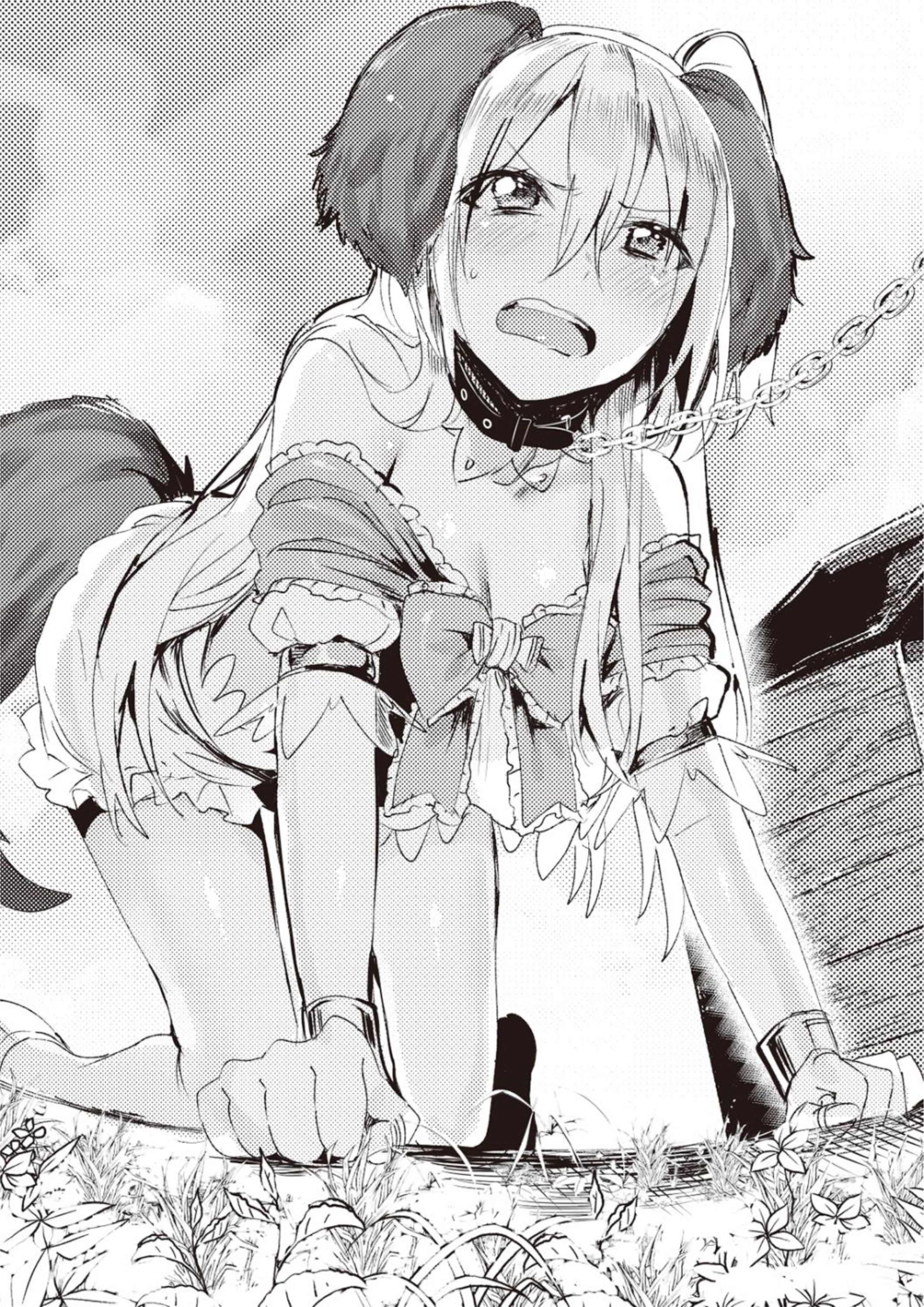Isekai Nara NEET ga Hataraku to Omotta V2 Illustration - Megumi Novel