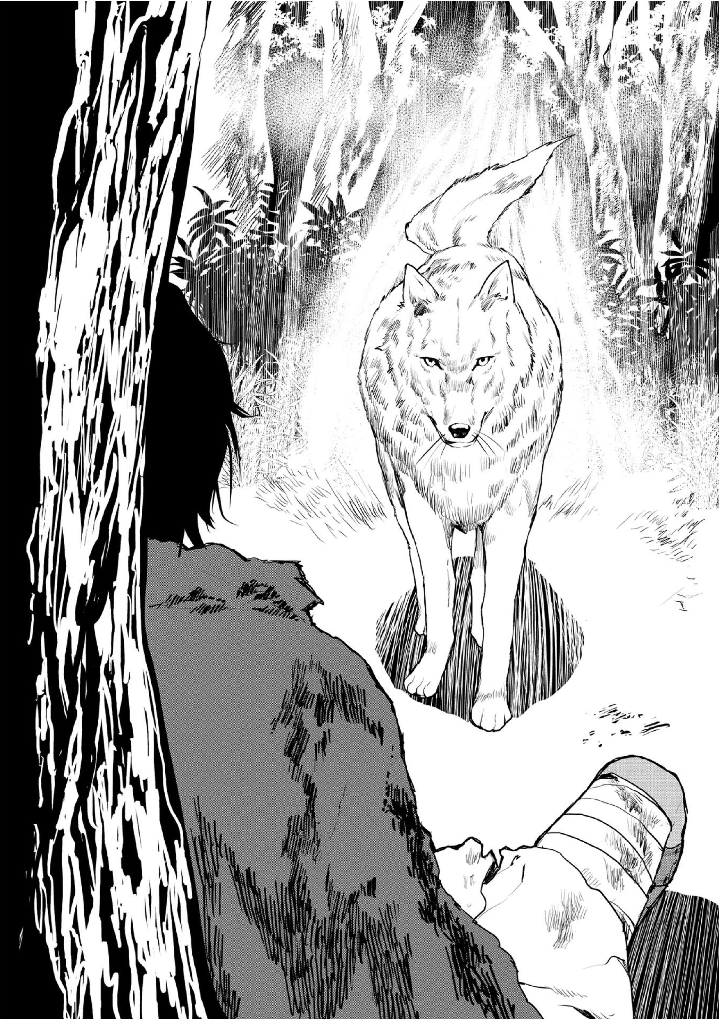 Isekai Ryouridou V14 Illustration - Megumi Novel