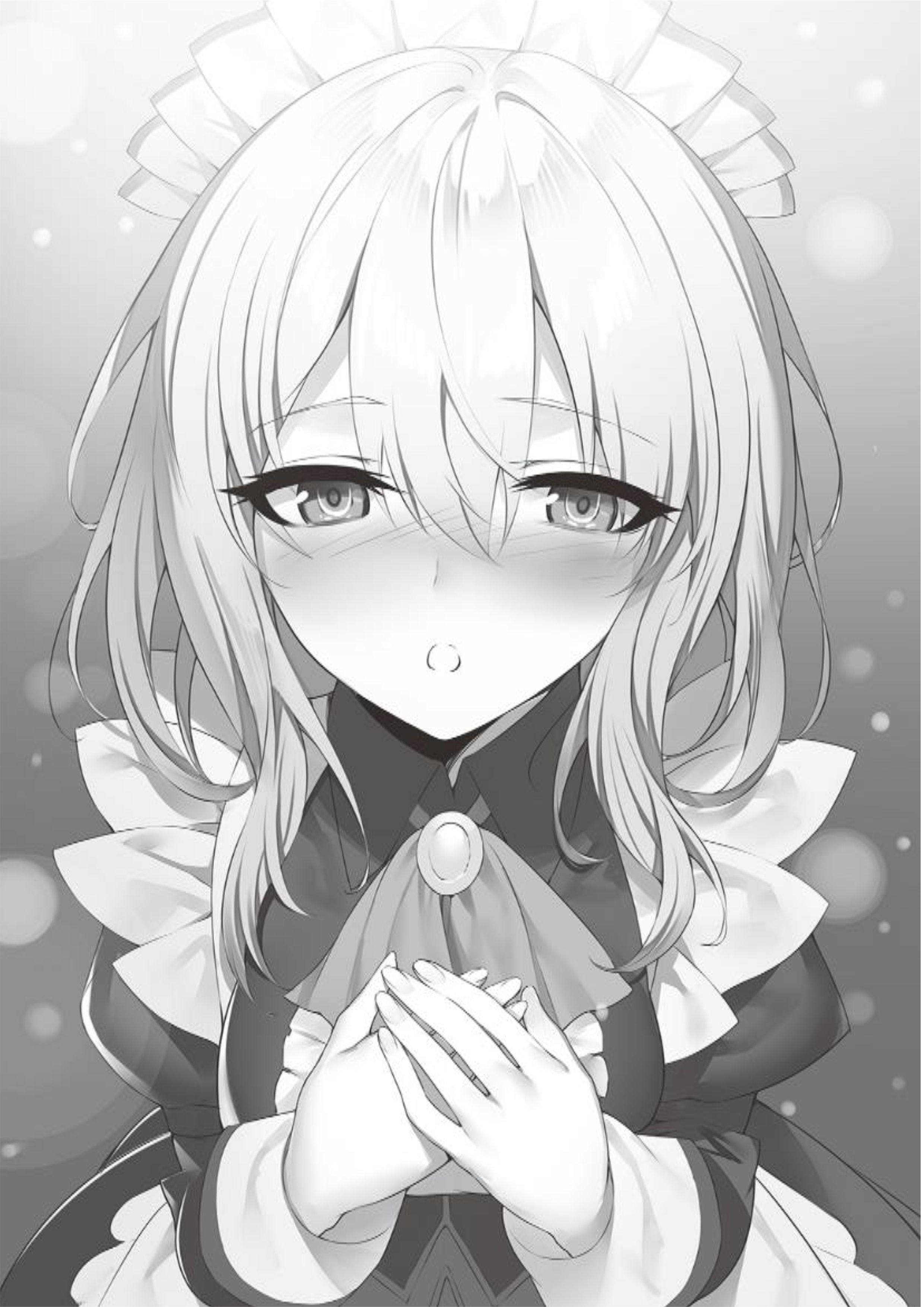 Isekai Saikou no Kizoku V1 Illustration - Megumi Novel