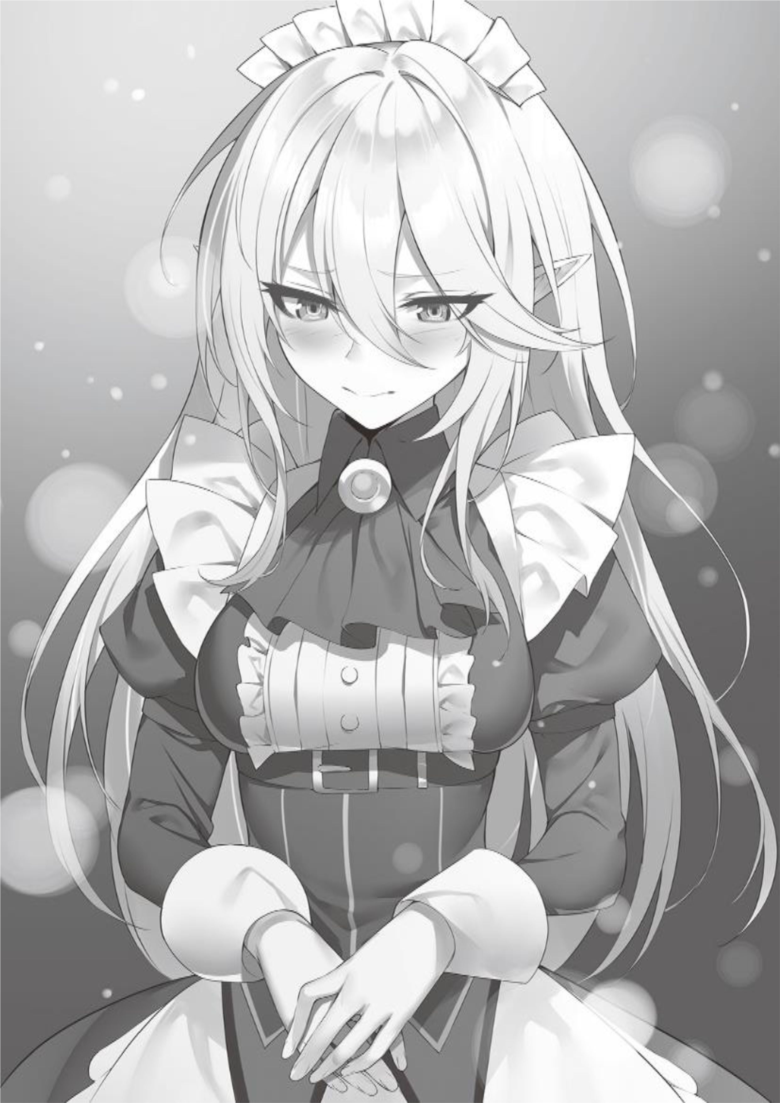 Isekai Saikou no Kizoku V1 Illustration - Megumi Novel