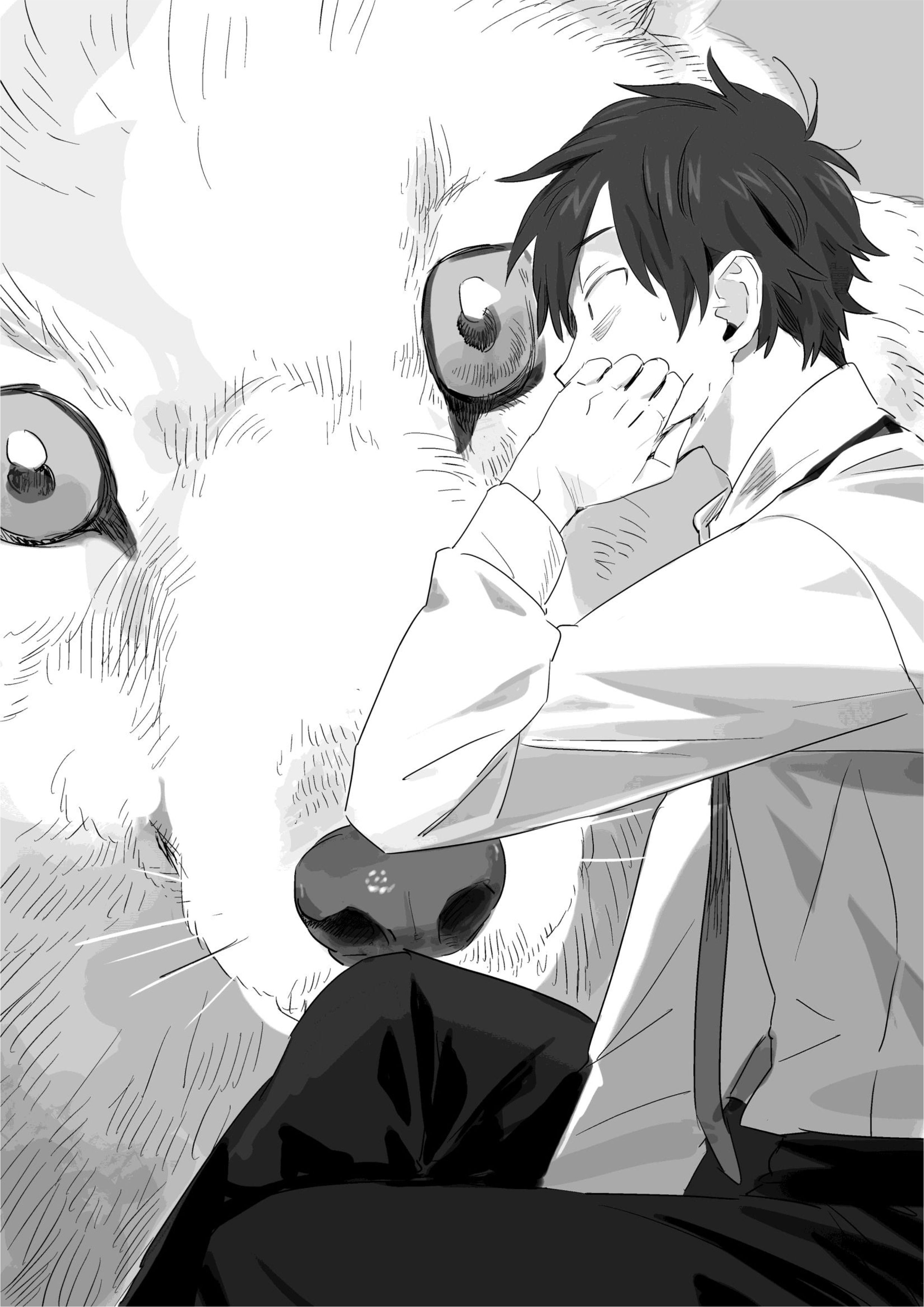 Isekai Tensei Shitara Aiken ga Saikyou ni Narimashita V1 Illustration - Megumi Novel