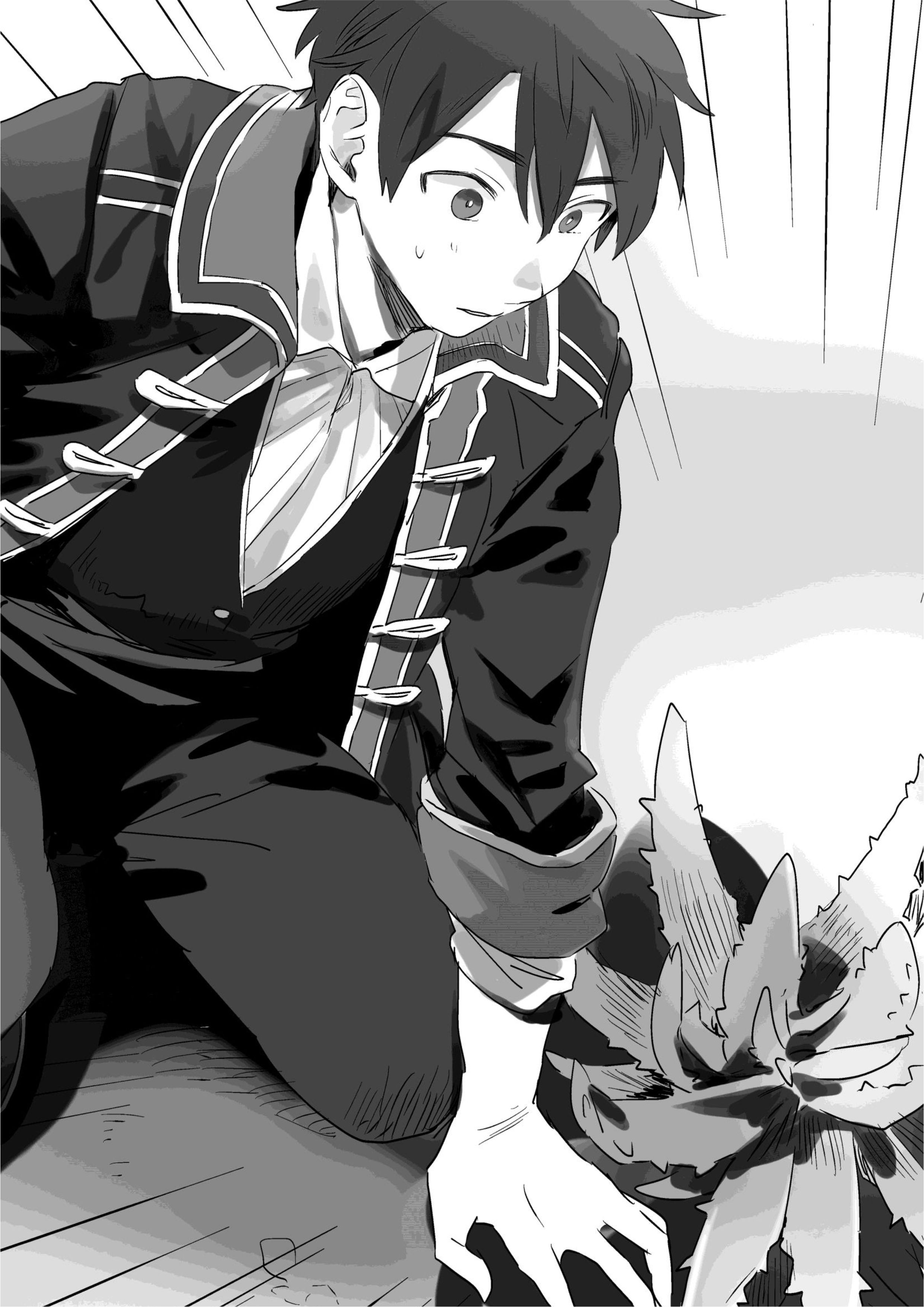 Isekai Tensei Shitara Aiken ga Saikyou ni Narimashita V1 Illustration - Megumi Novel