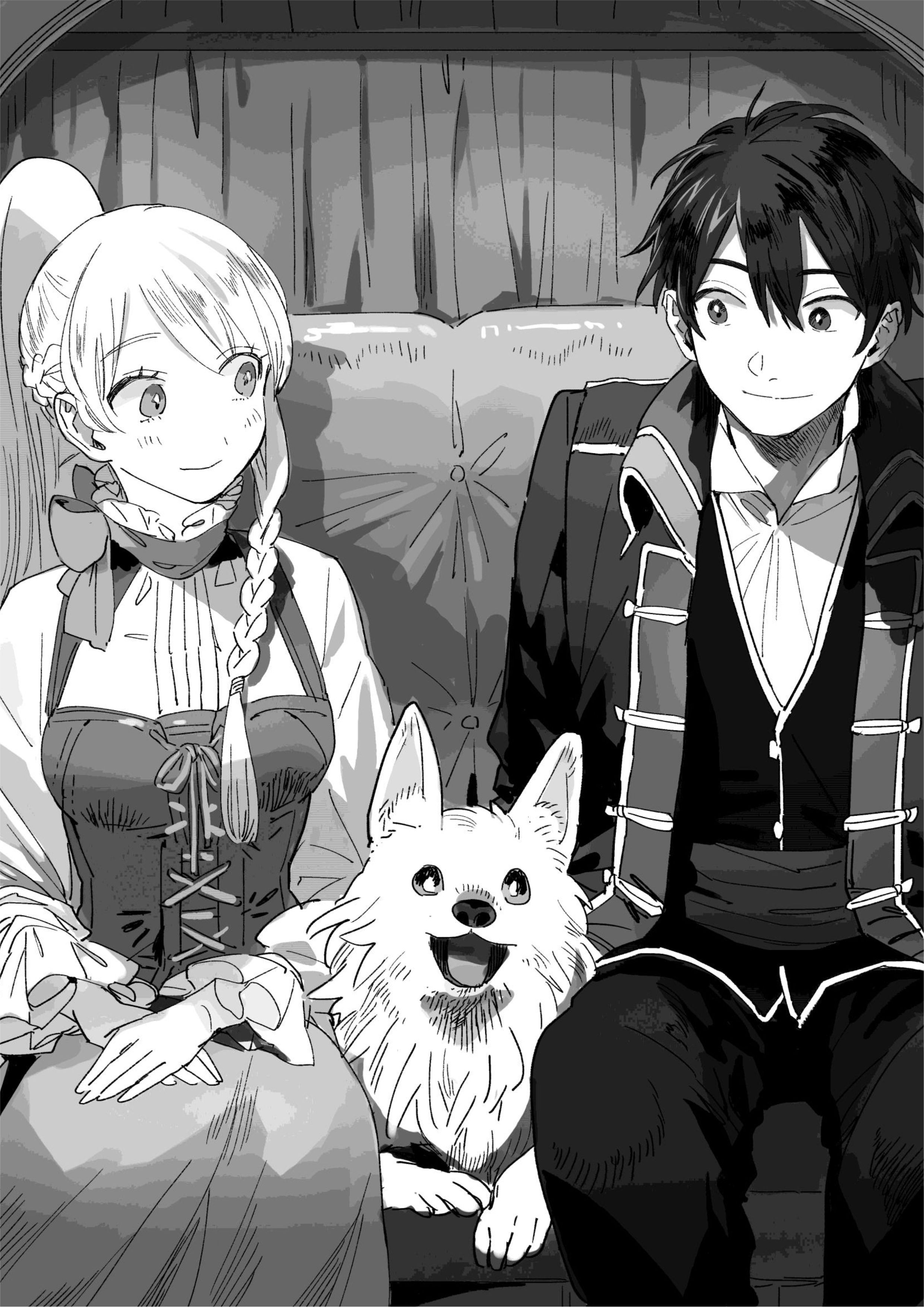 Isekai Tensei Shitara Aiken ga Saikyou ni Narimashita V2 Illustration - Megumi Novel