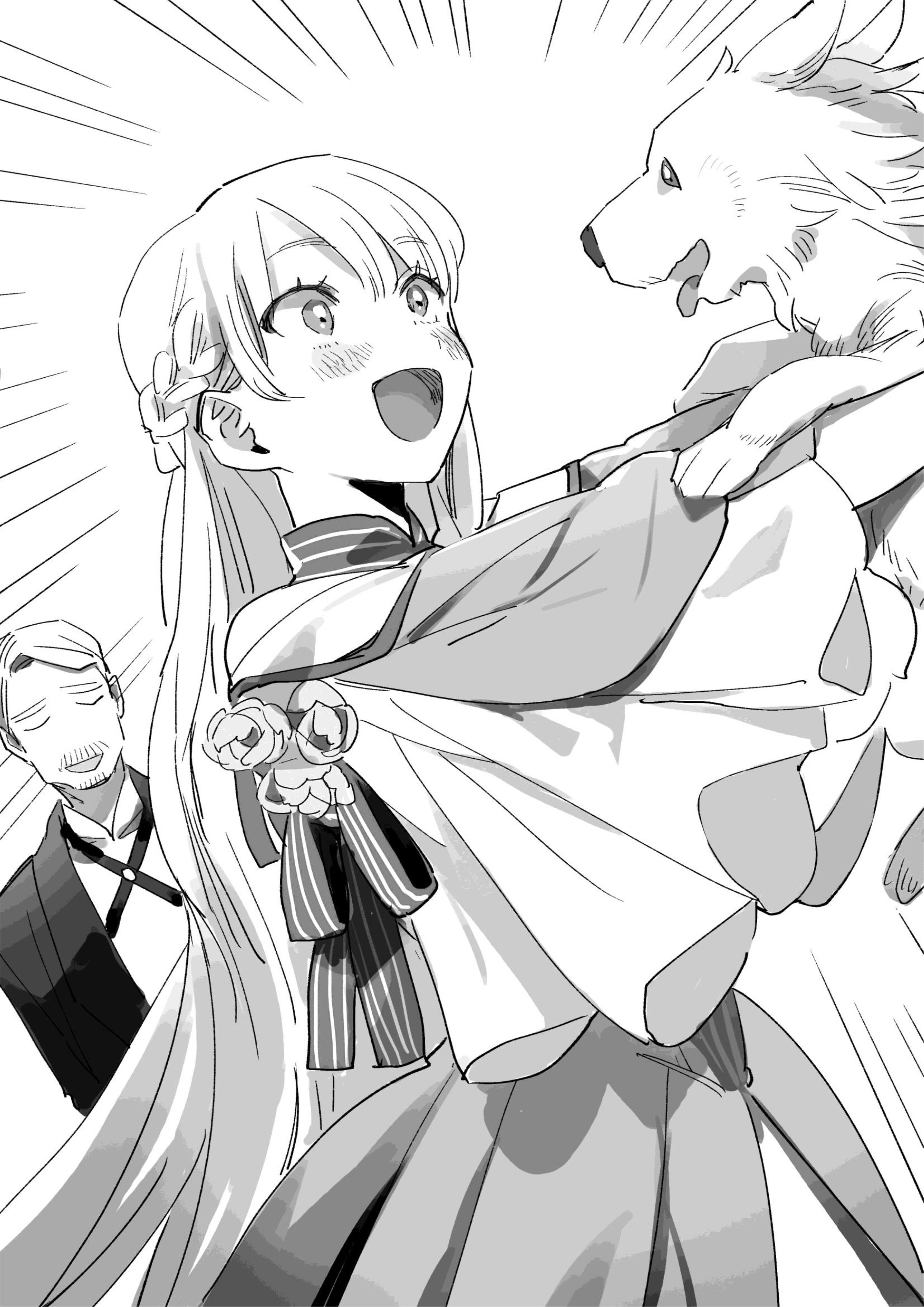 Isekai Tensei Shitara Aiken ga Saikyou ni Narimashita V2 Illustration - Megumi Novel