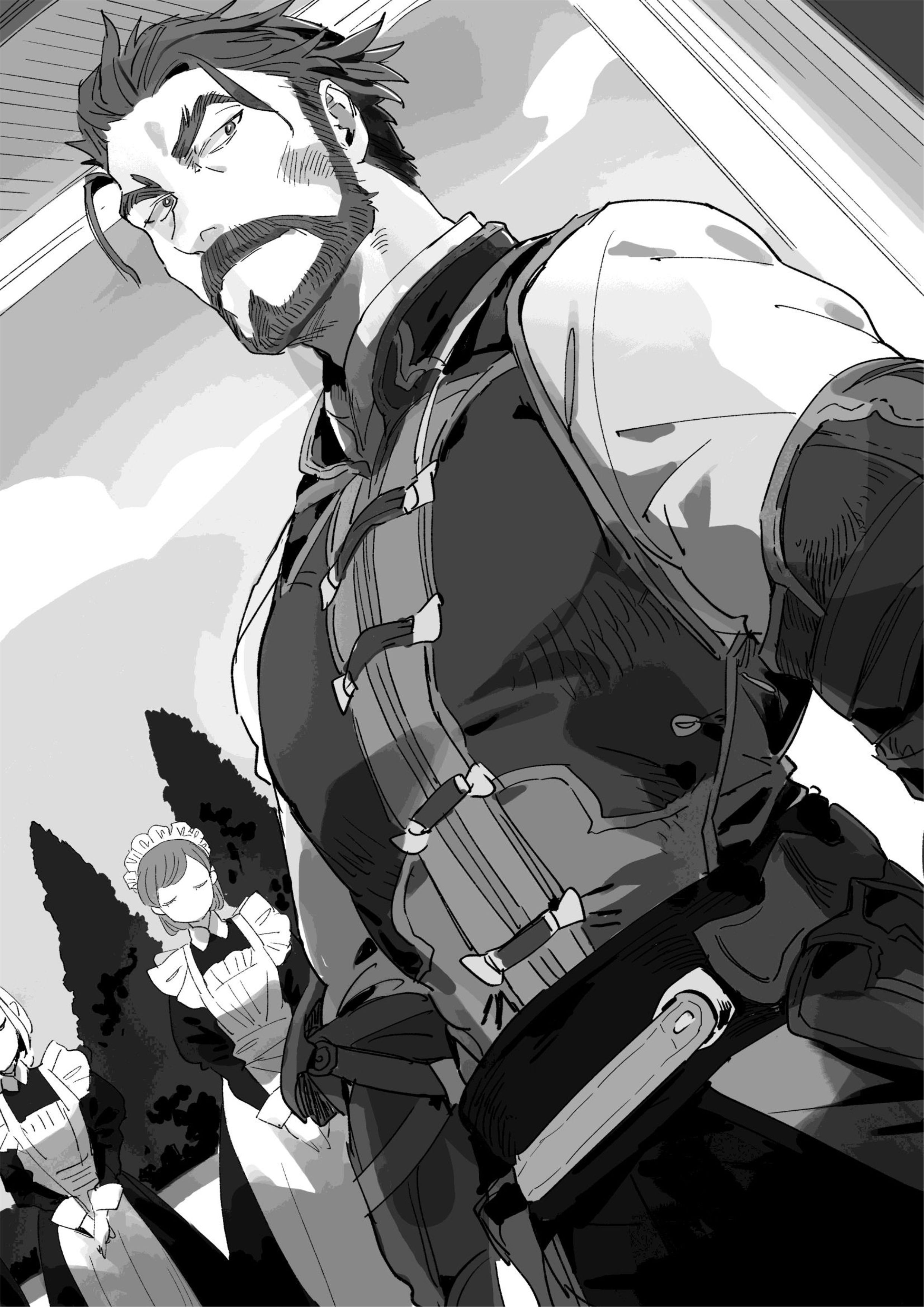 Isekai Tensei Shitara Aiken ga Saikyou ni Narimashita V2 Illustration - Megumi Novel