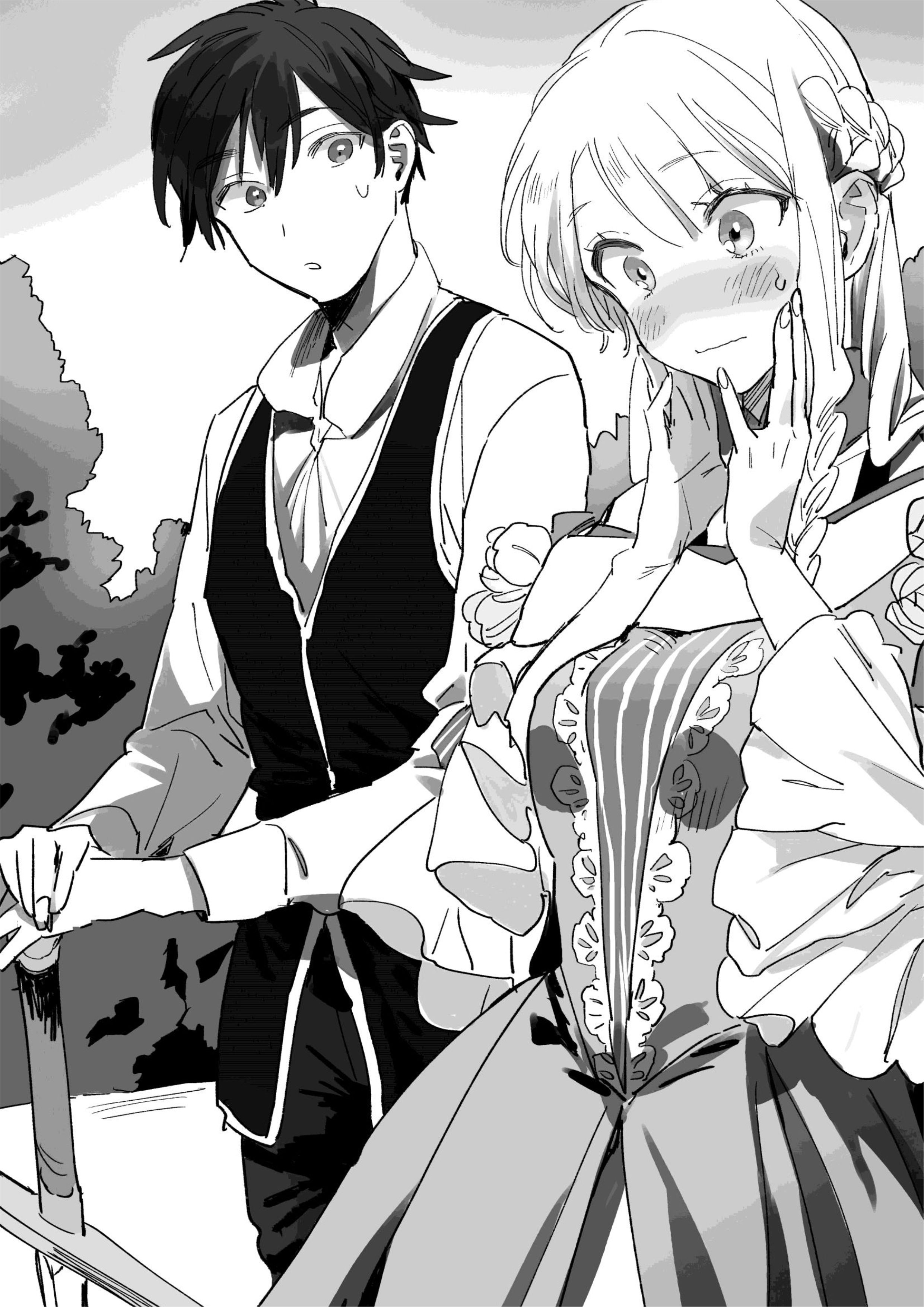 Isekai Tensei Shitara Aiken ga Saikyou ni Narimashita V2 Illustration - Megumi Novel