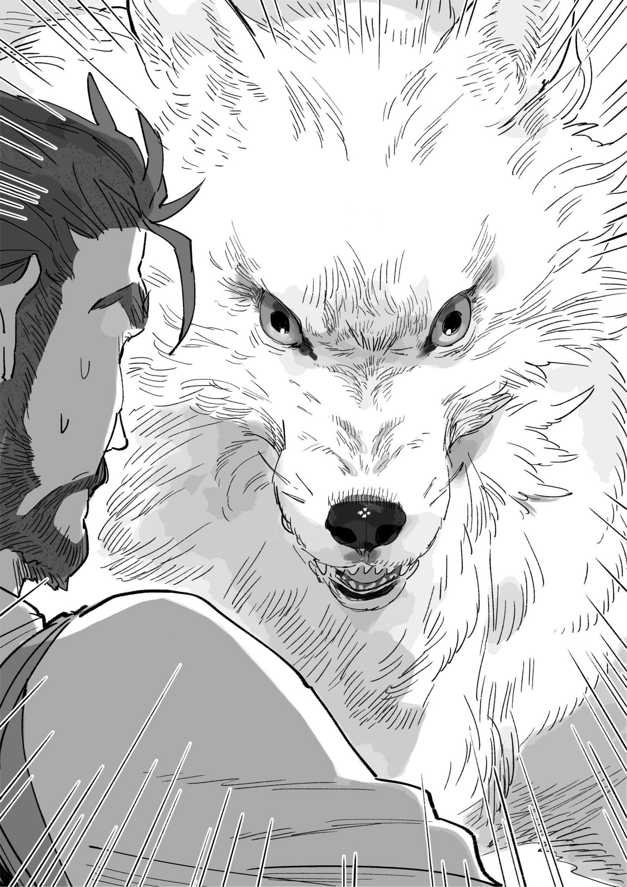 Isekai Tensei Shitara Aiken ga Saikyou ni Narimashita V2 Illustration - Megumi Novel