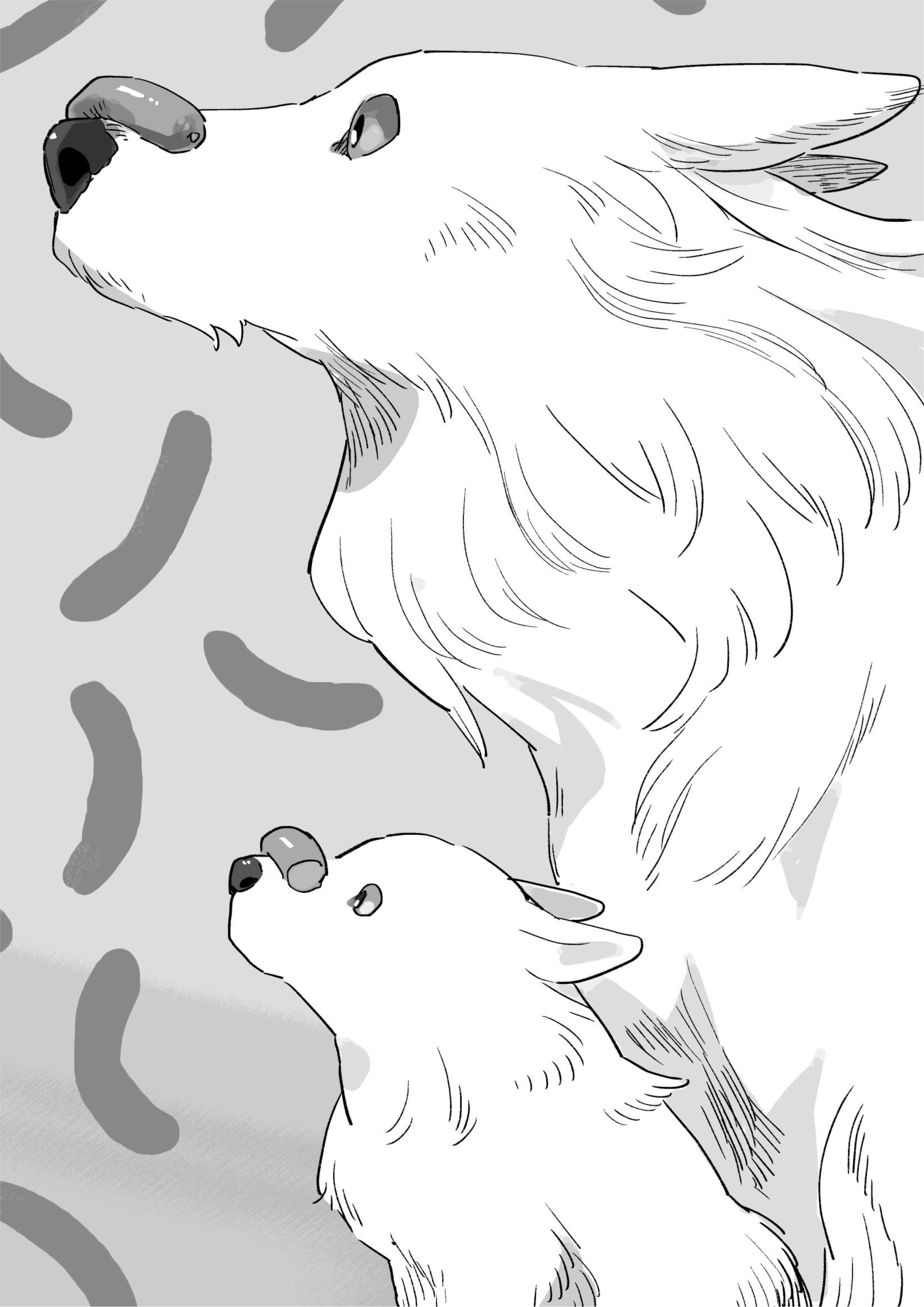 Isekai Tensei Shitara Aiken ga Saikyou ni Narimashita V2 Illustration - Megumi Novel