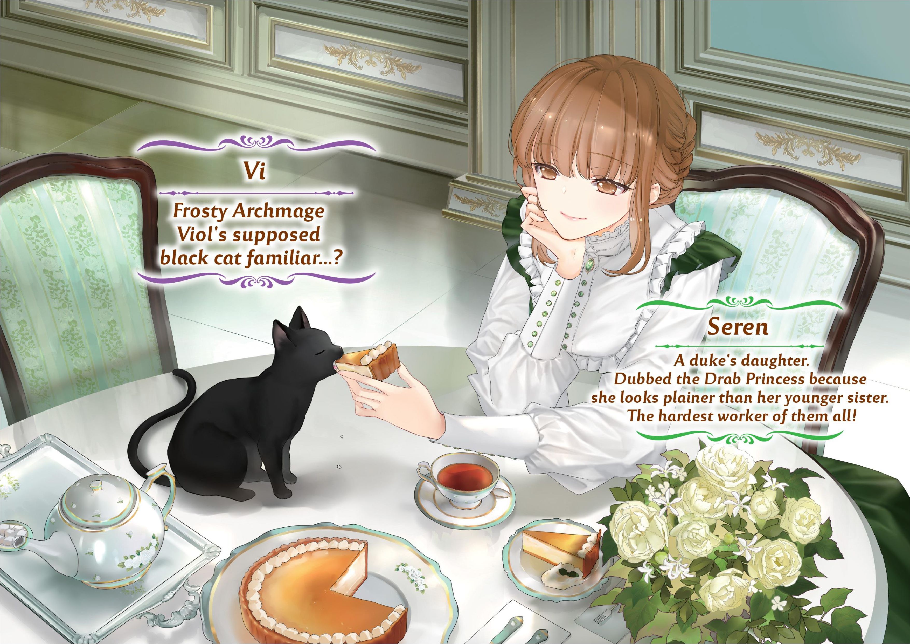 Jimihime to Kuroneko no Enman na Konyaku Haki V1 Illustration - Megumi Novel