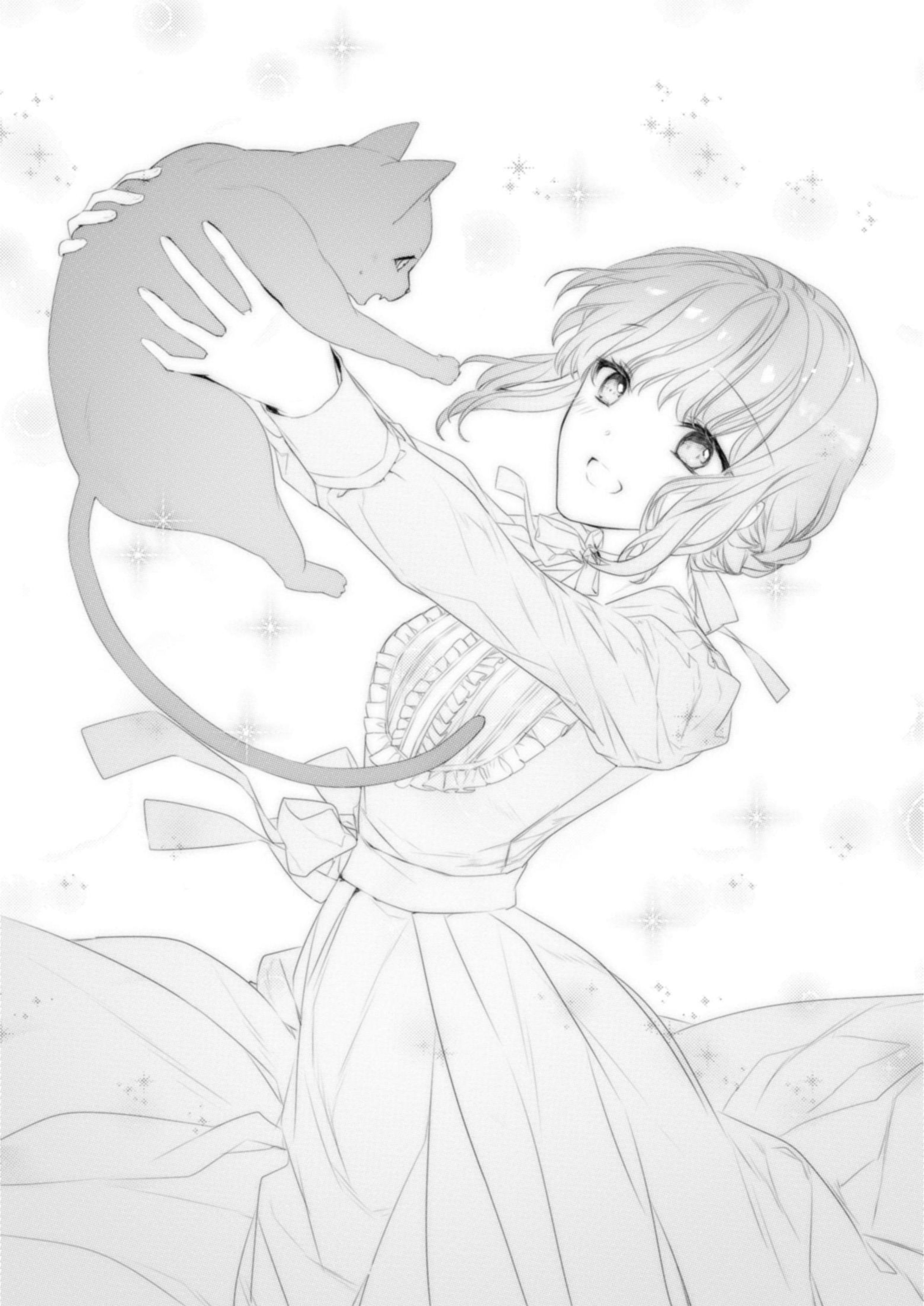 Jimihime to Kuroneko no Enman na Konyaku Haki V1 Illustration - Megumi Novel