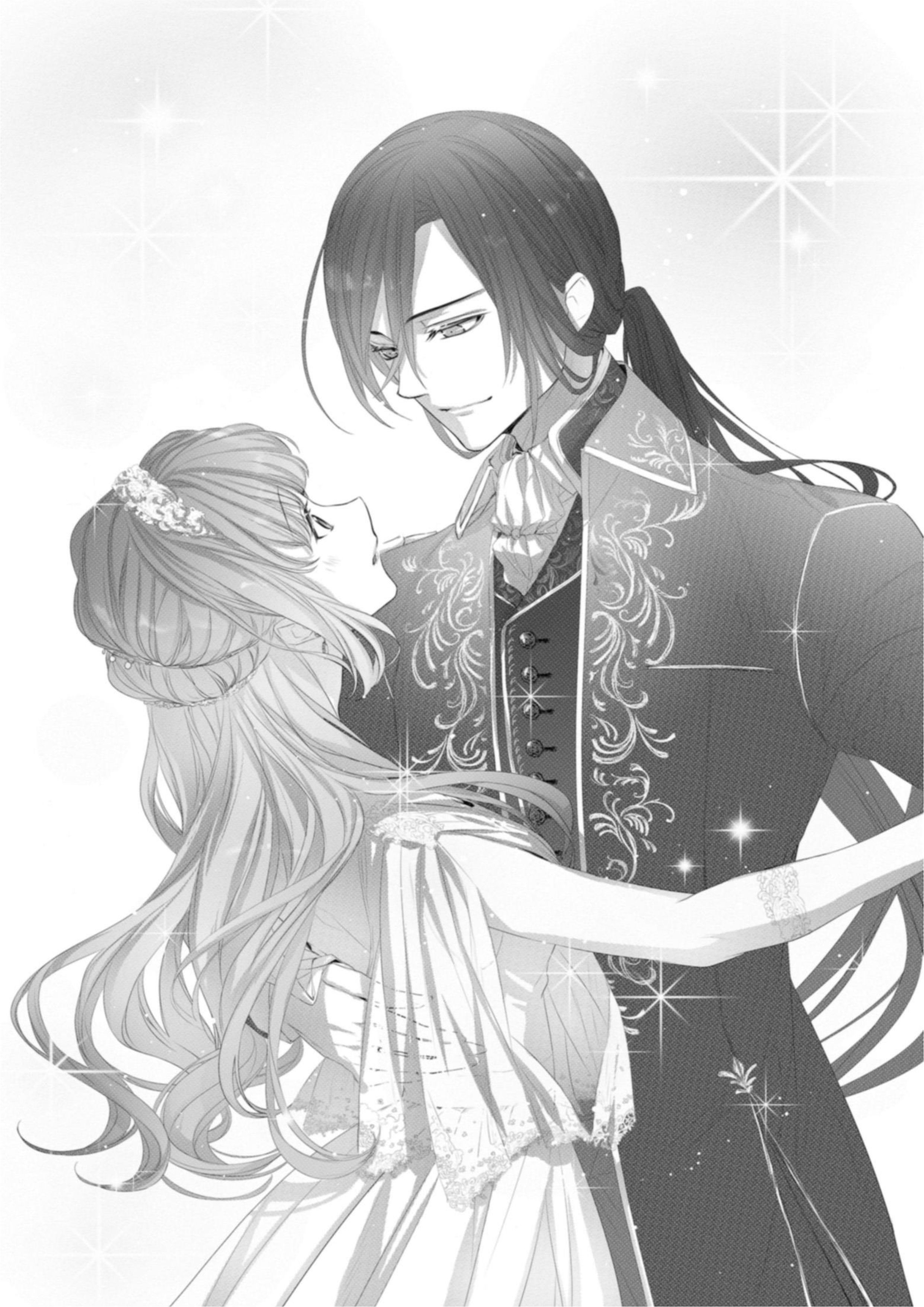 Jimihime to Kuroneko no Enman na Konyaku Haki V1 Illustration - Megumi Novel