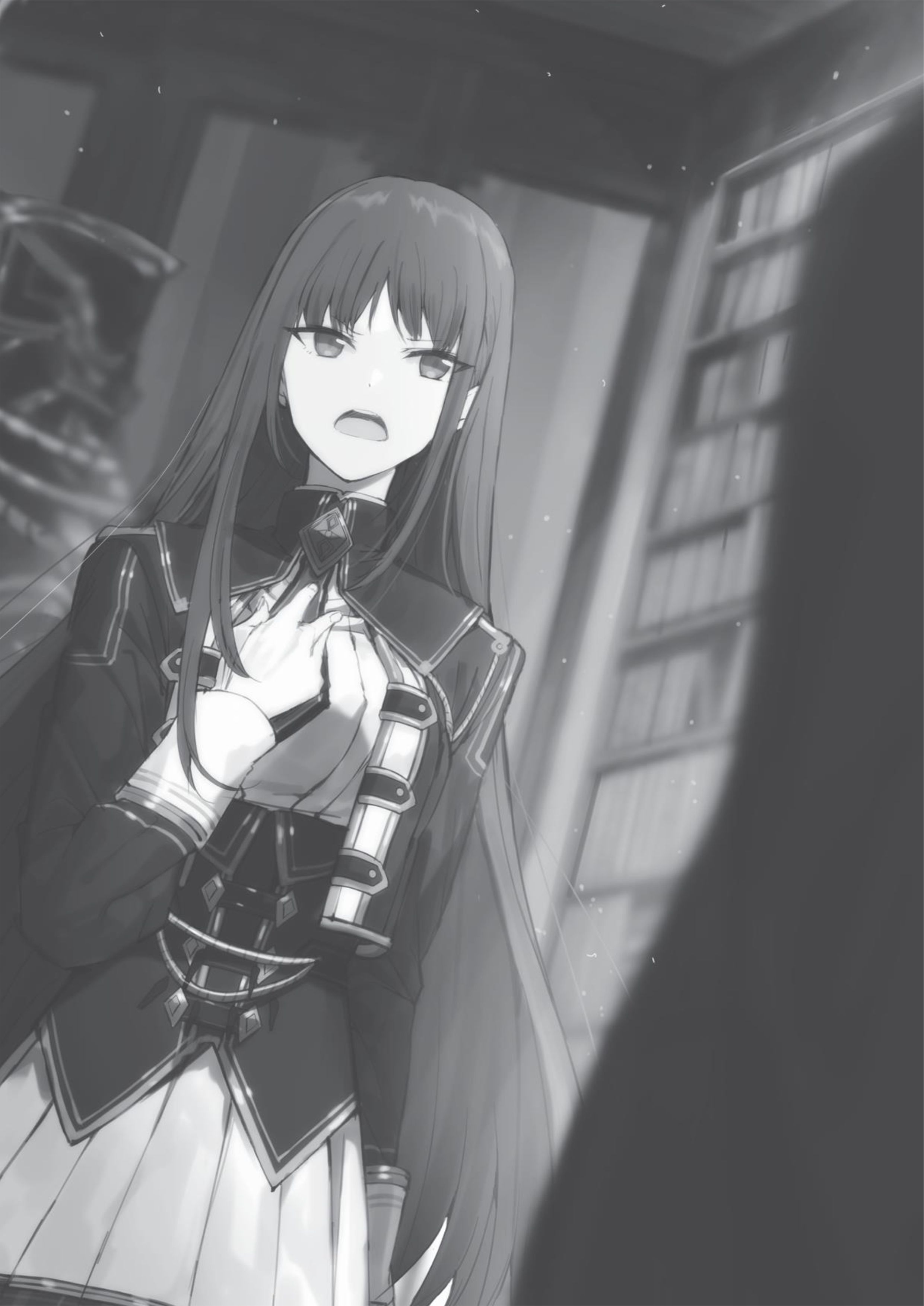 Kage no Jitsuryokusha ni Naritakute! Volume 1 Illustration - Megumi Novel