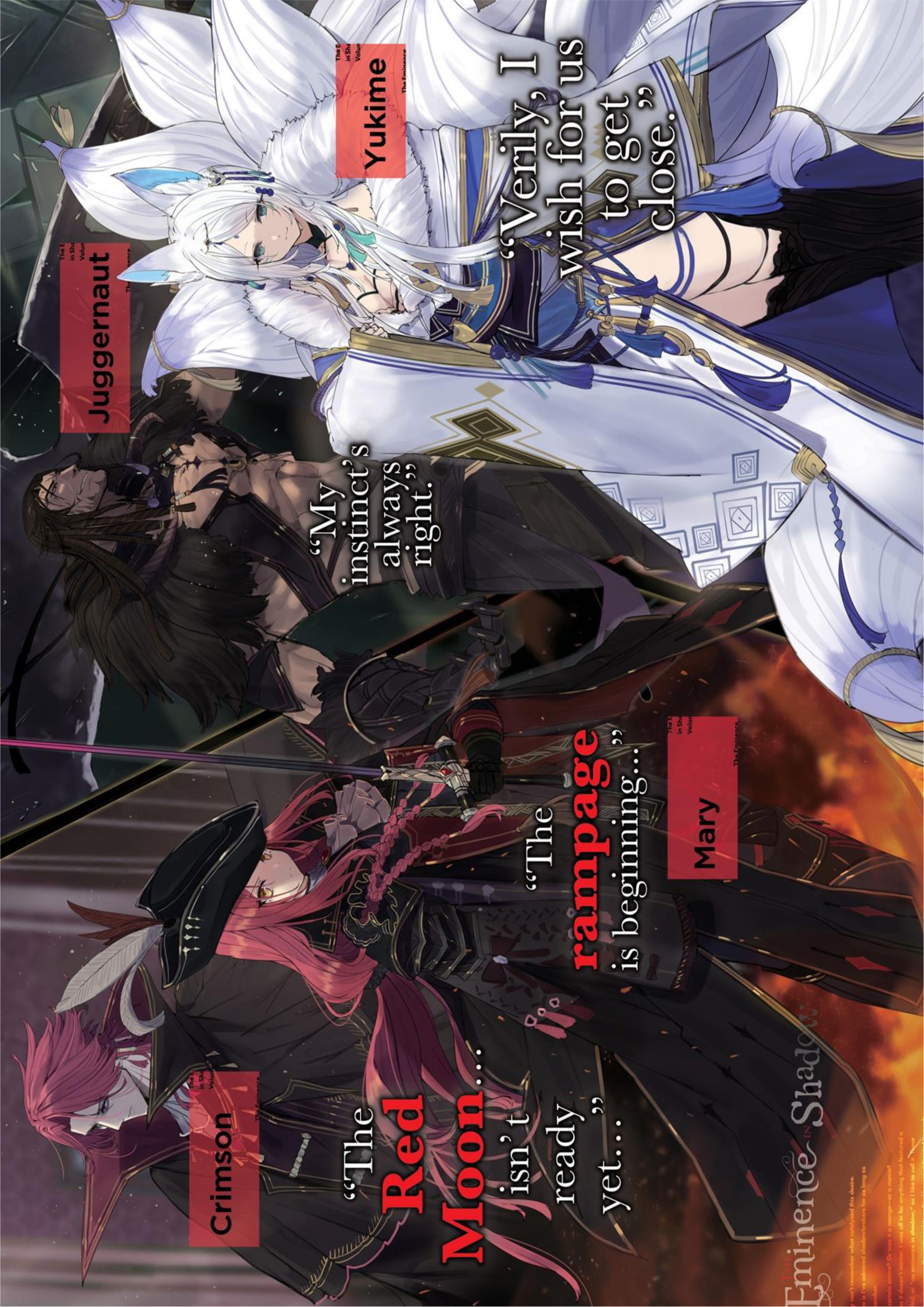 Kage no Jitsuryokusha ni Naritakute! Volume 3 Illustration - Megumi Novel