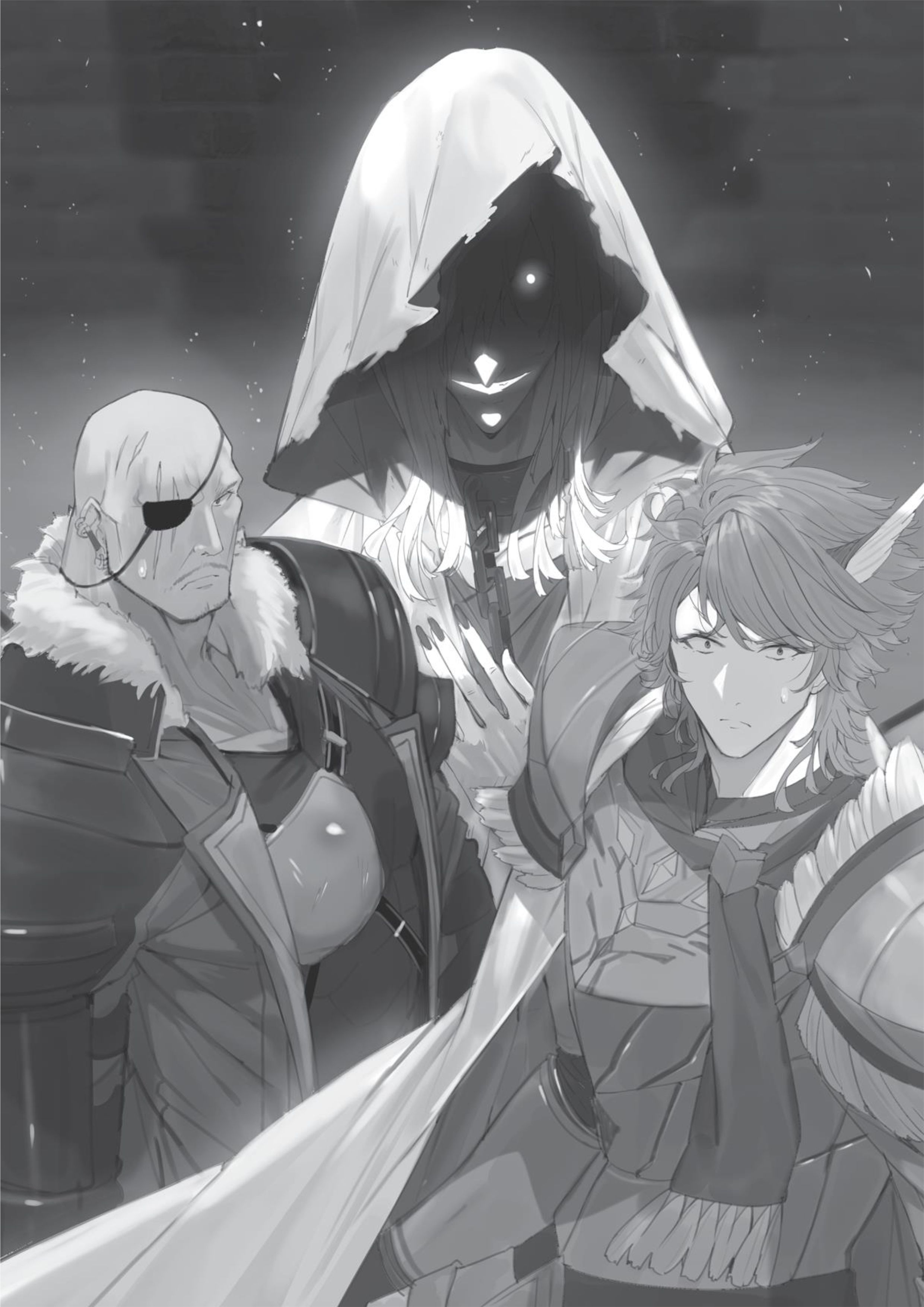 Kage no Jitsuryokusha ni Naritakute! Volume 3 Illustration - Megumi Novel