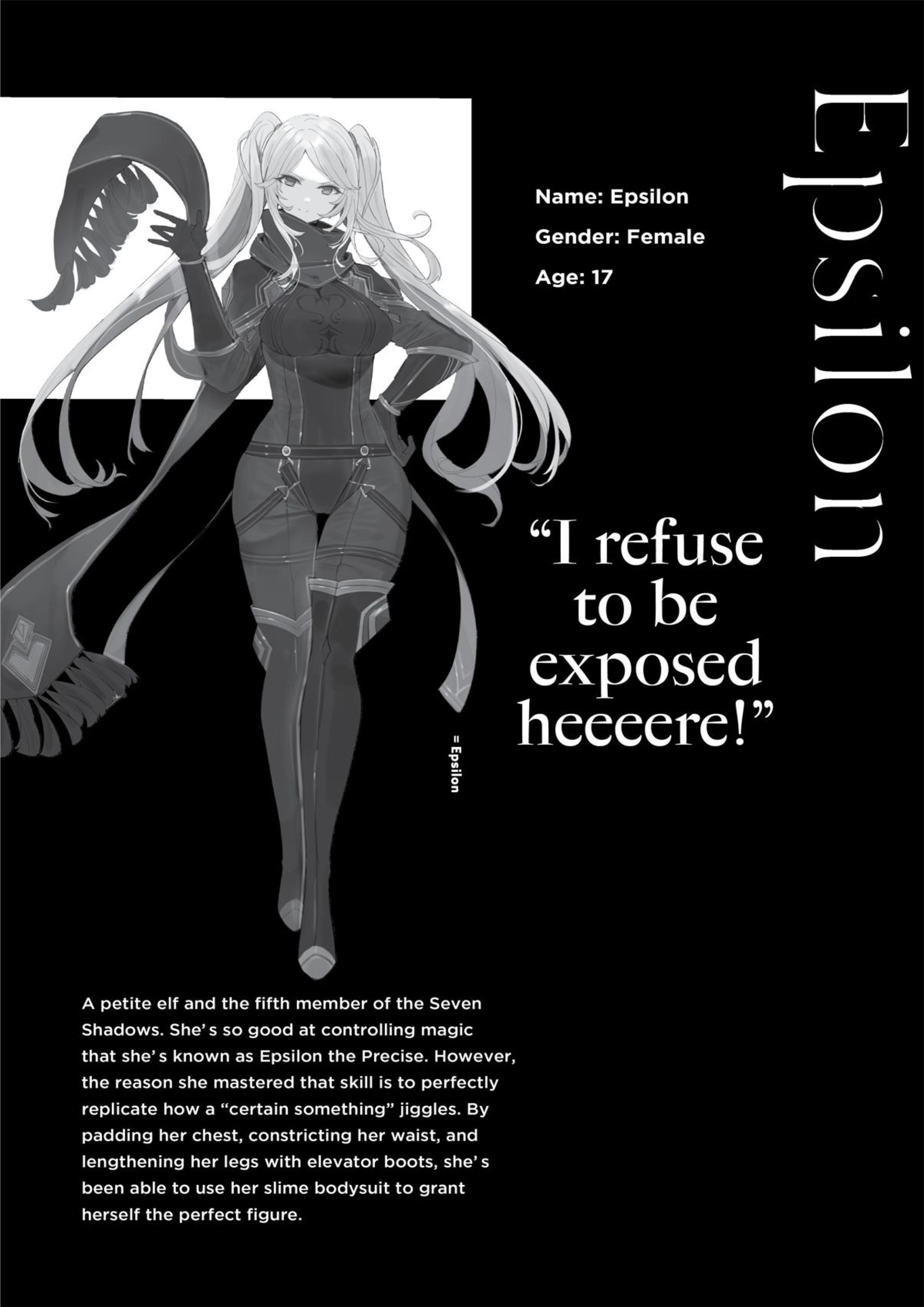 Kage no Jitsuryokusha ni Naritakute! Volume 3 Illustration - Megumi Novel