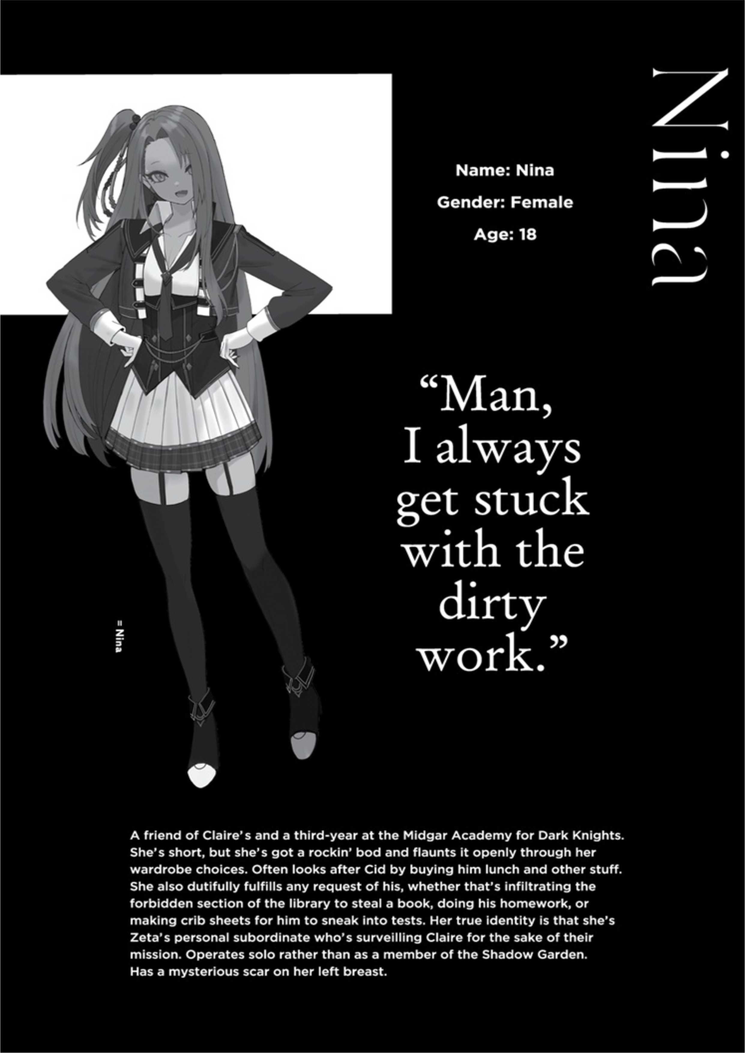 Kage no Jitsuryokusha ni Naritakute! Volume 5 Illustration - Megumi Novel