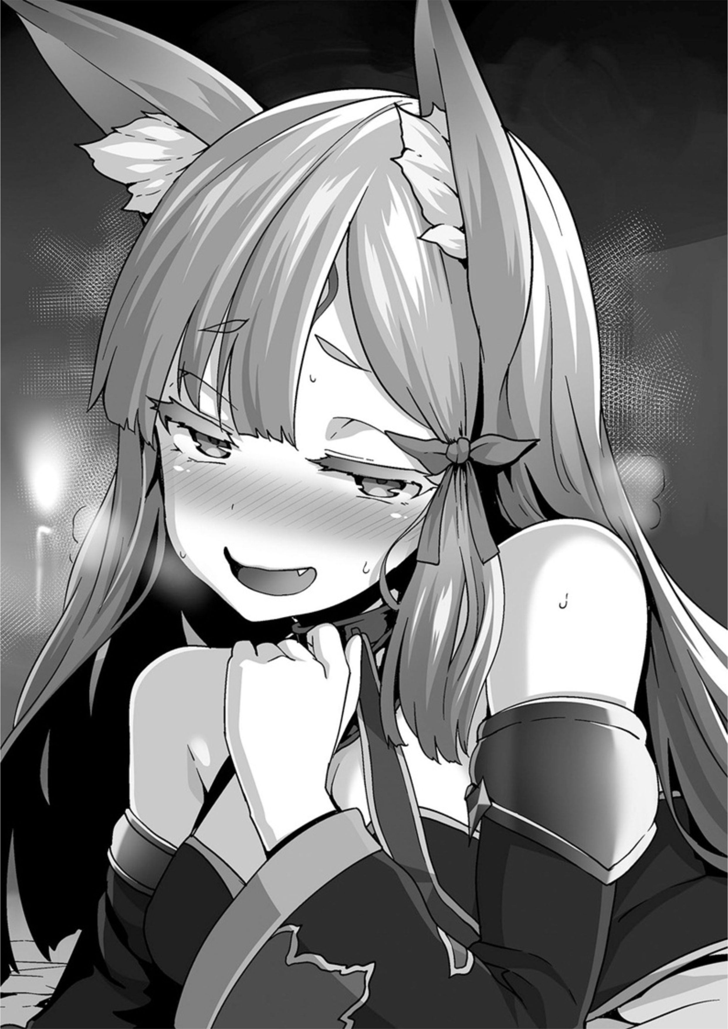 Kaifuku Jutsushi no Yarinaoshi V7 Illustration - Megumi Novel