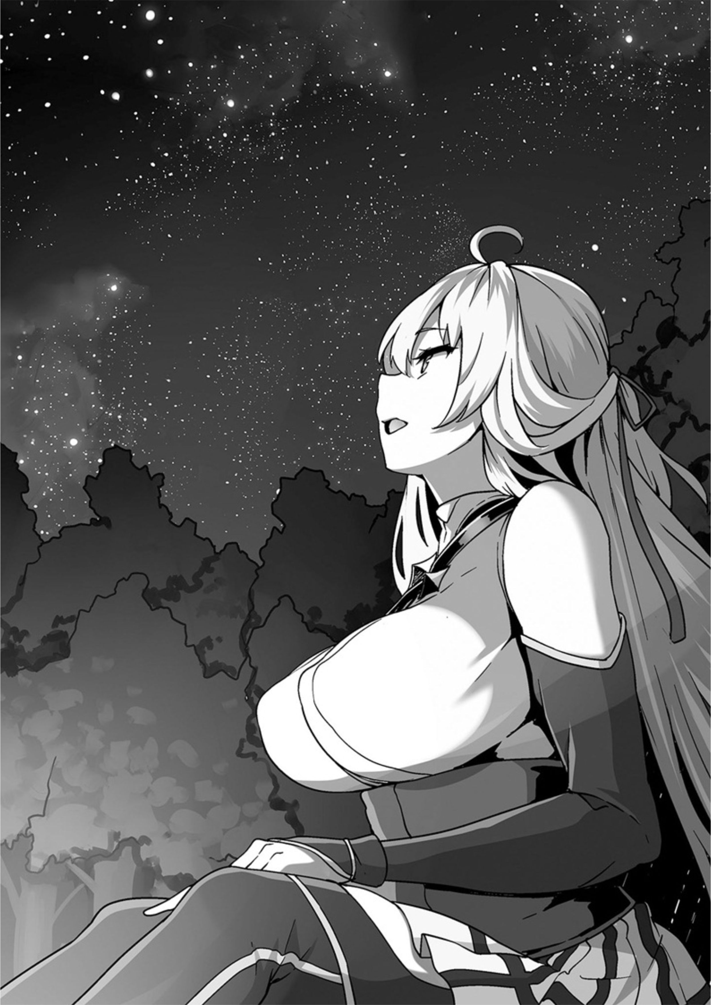 Kaifuku Jutsushi no Yarinaoshi V7 Illustration - Megumi Novel