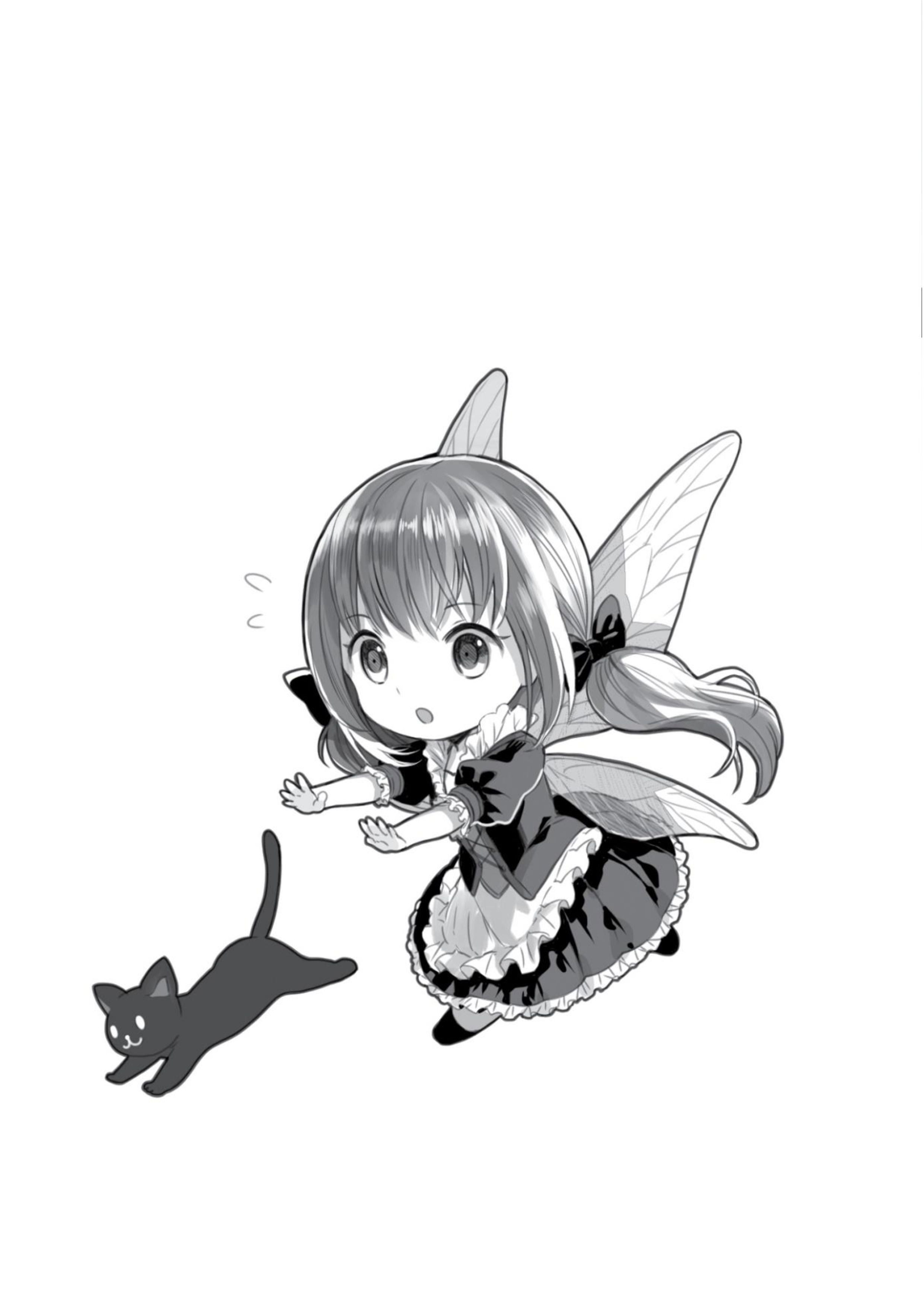 Kenja no Deshi wo Nanoru Kenja V2 Illustration - Megumi Novel