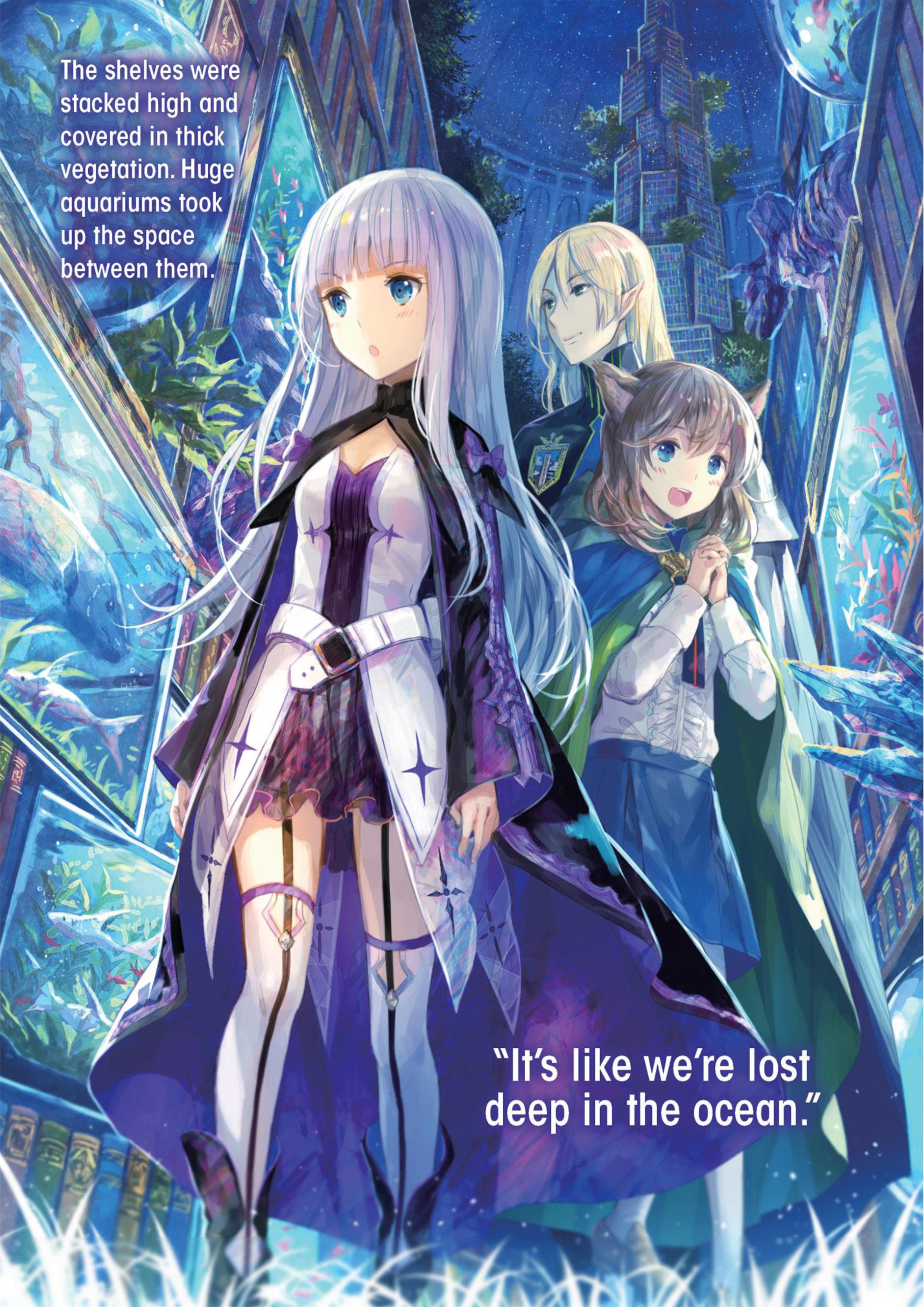 Kenja no Deshi wo Nanoru Kenja V3 Illustration - Megumi Novel