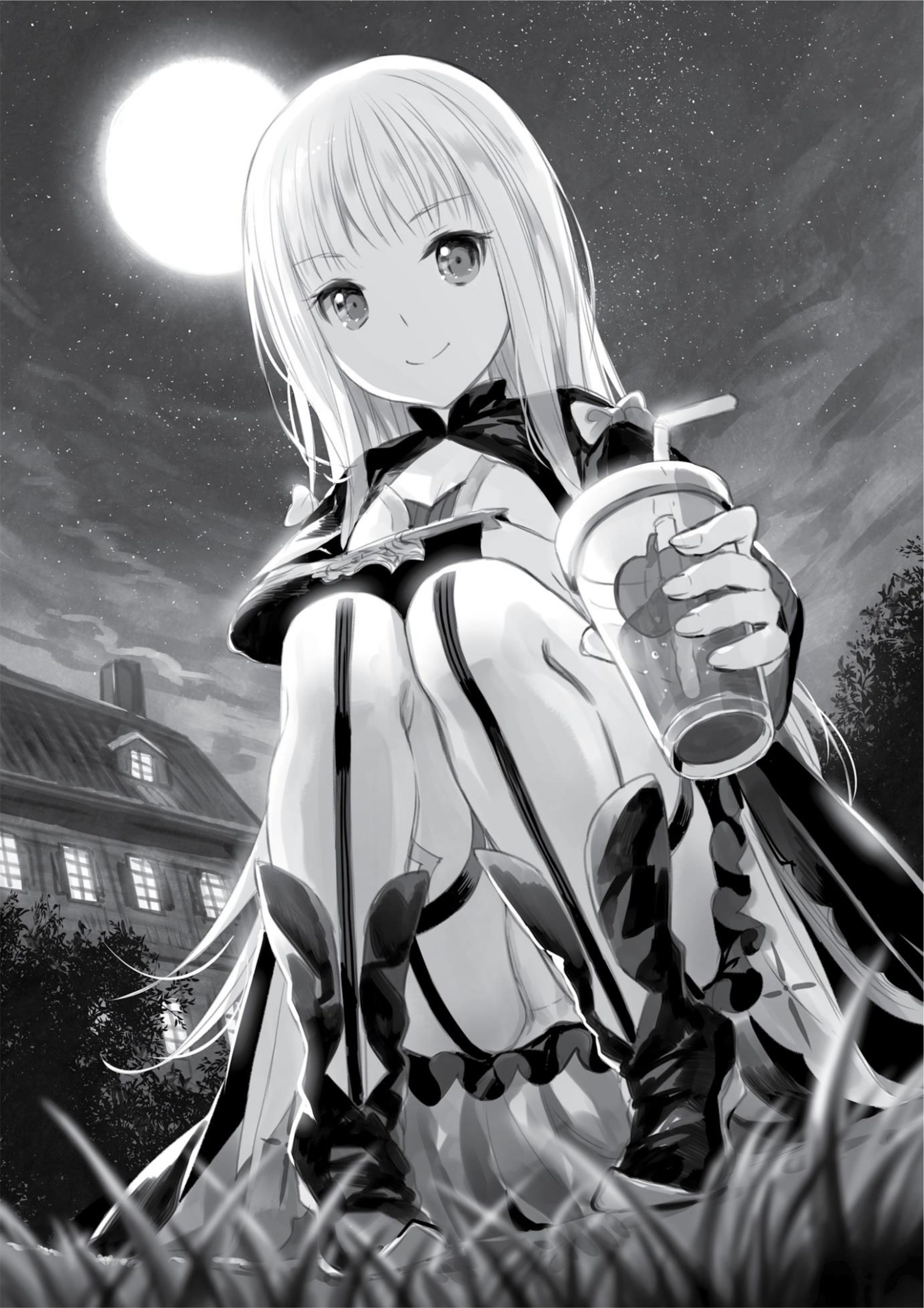 Kenja no Deshi wo Nanoru Kenja V4 Illustration - Megumi Novel