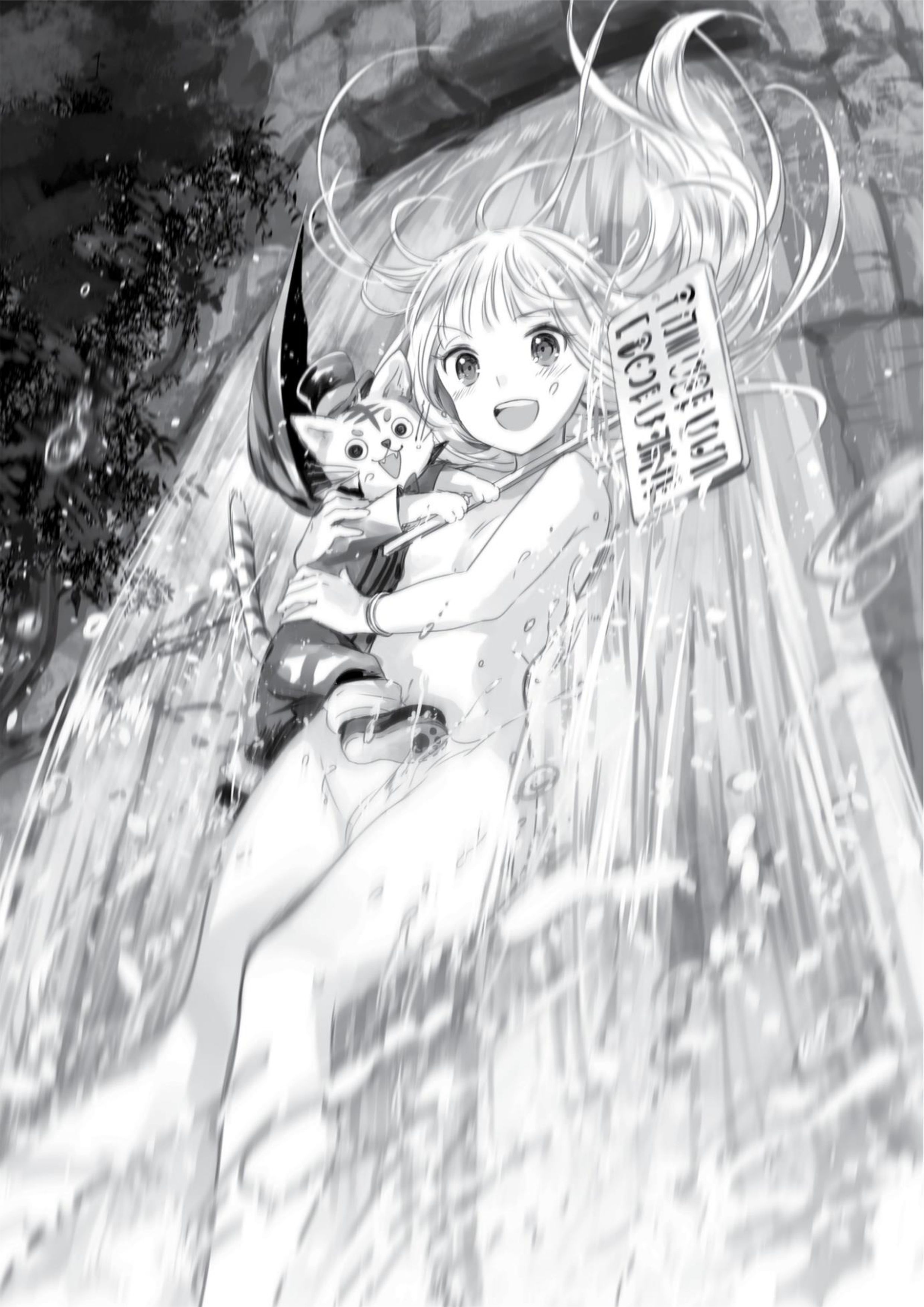 Kenja no Deshi wo Nanoru Kenja V4 Illustration - Megumi Novel