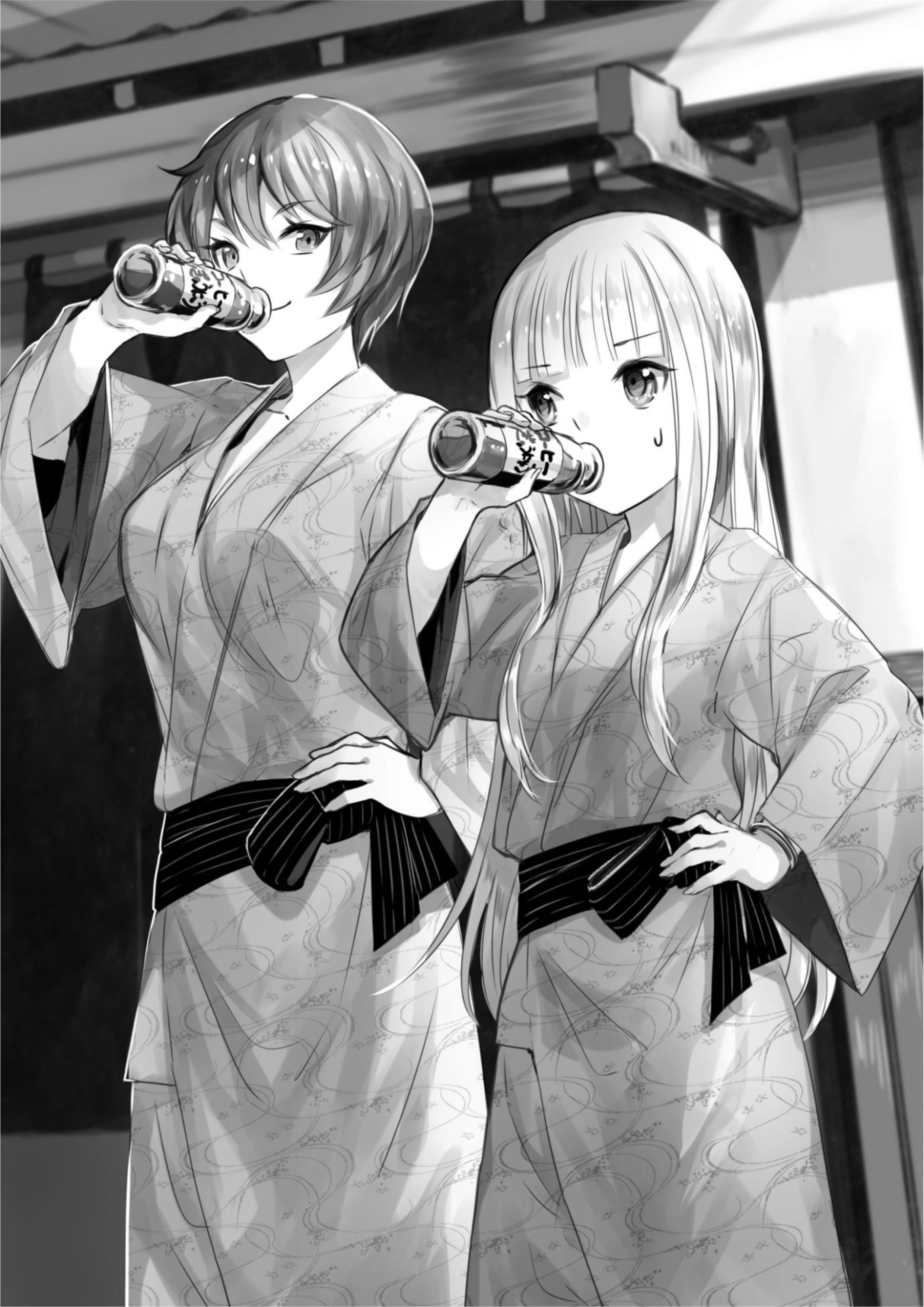 Kenja no Deshi wo Nanoru Kenja V5 Illustration - Megumi Novel