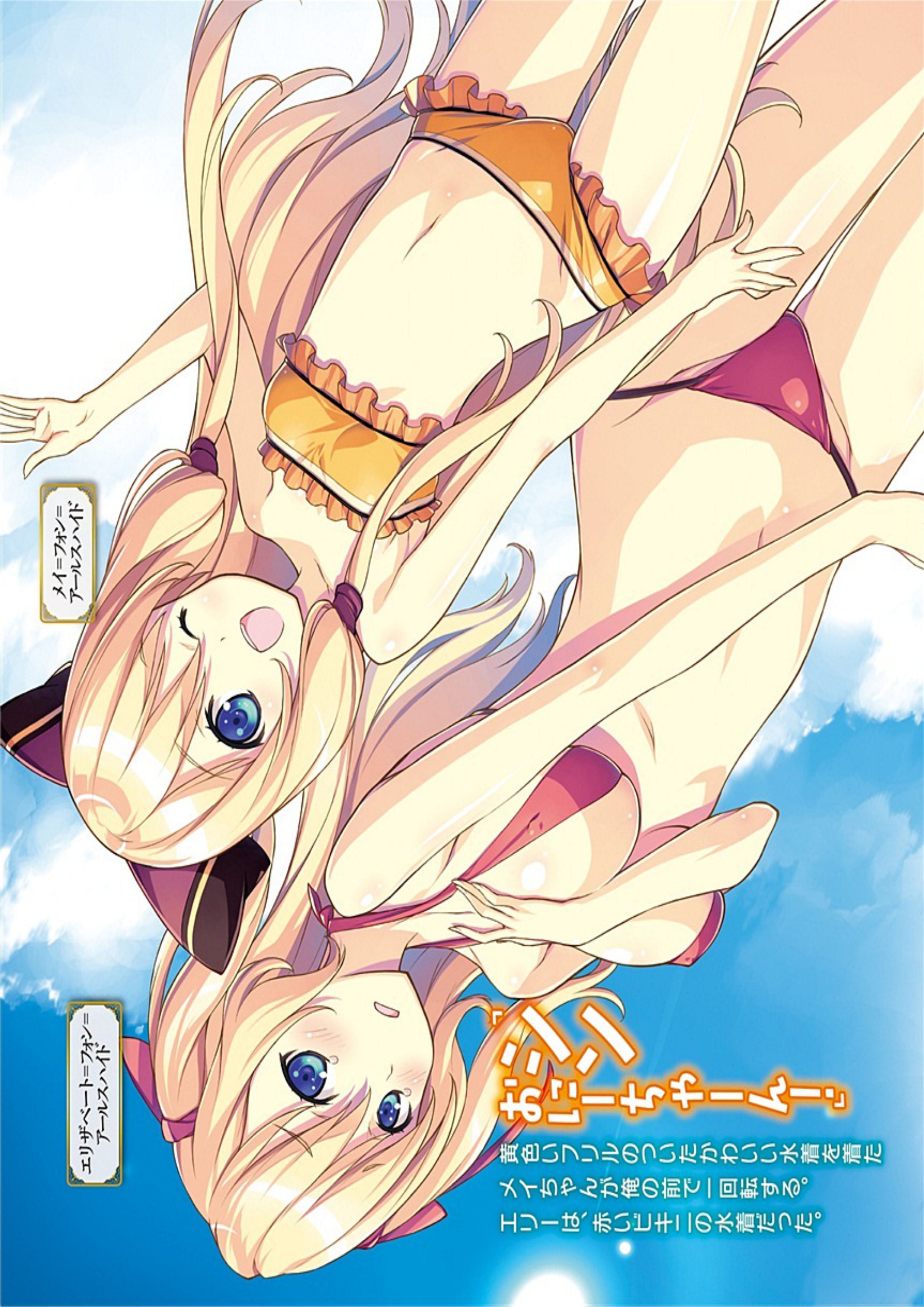 Kenja no Mago V4 Illustration - Megumi Novel