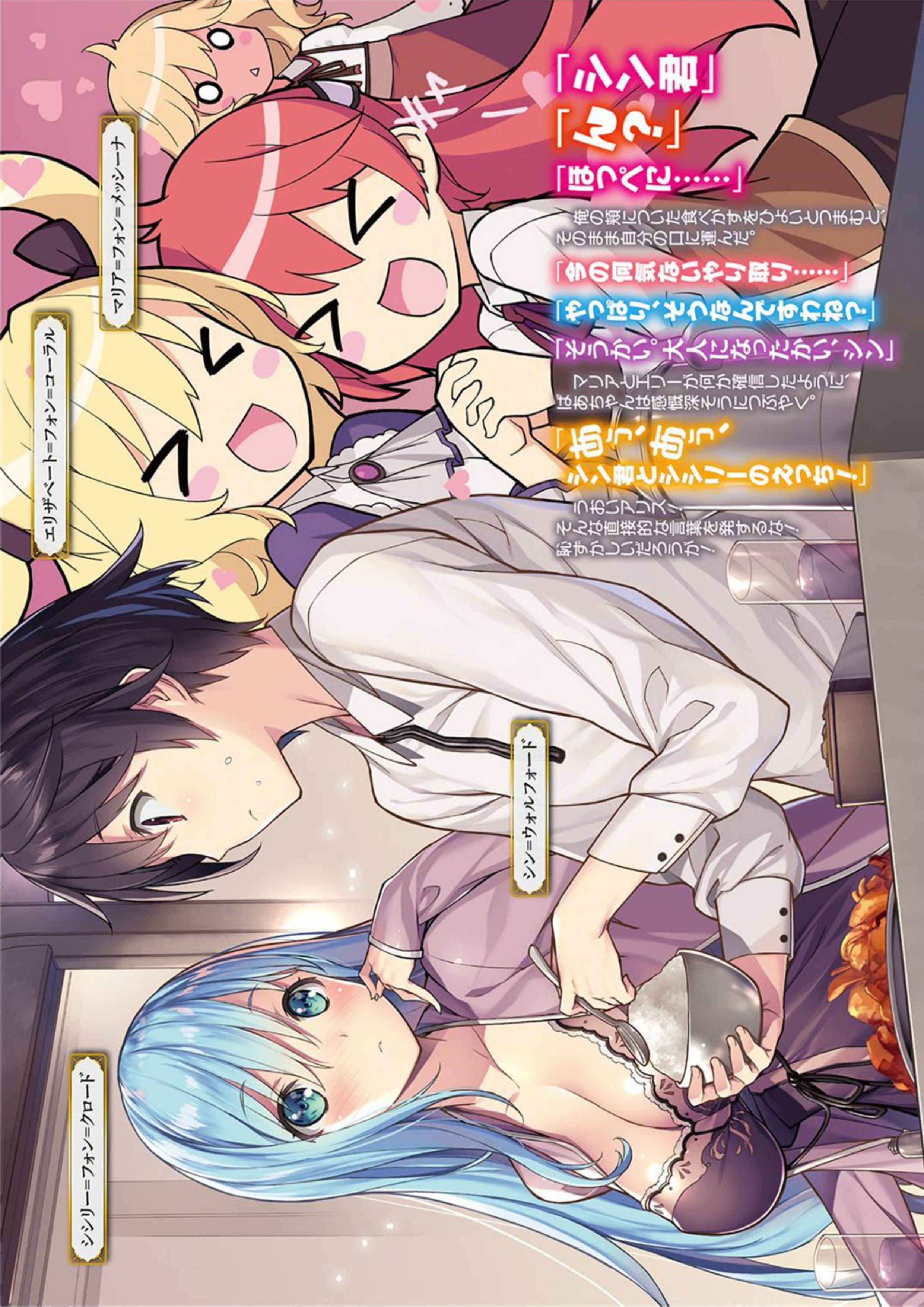Kenja no Mago V8 Illustration - Megumi Novel