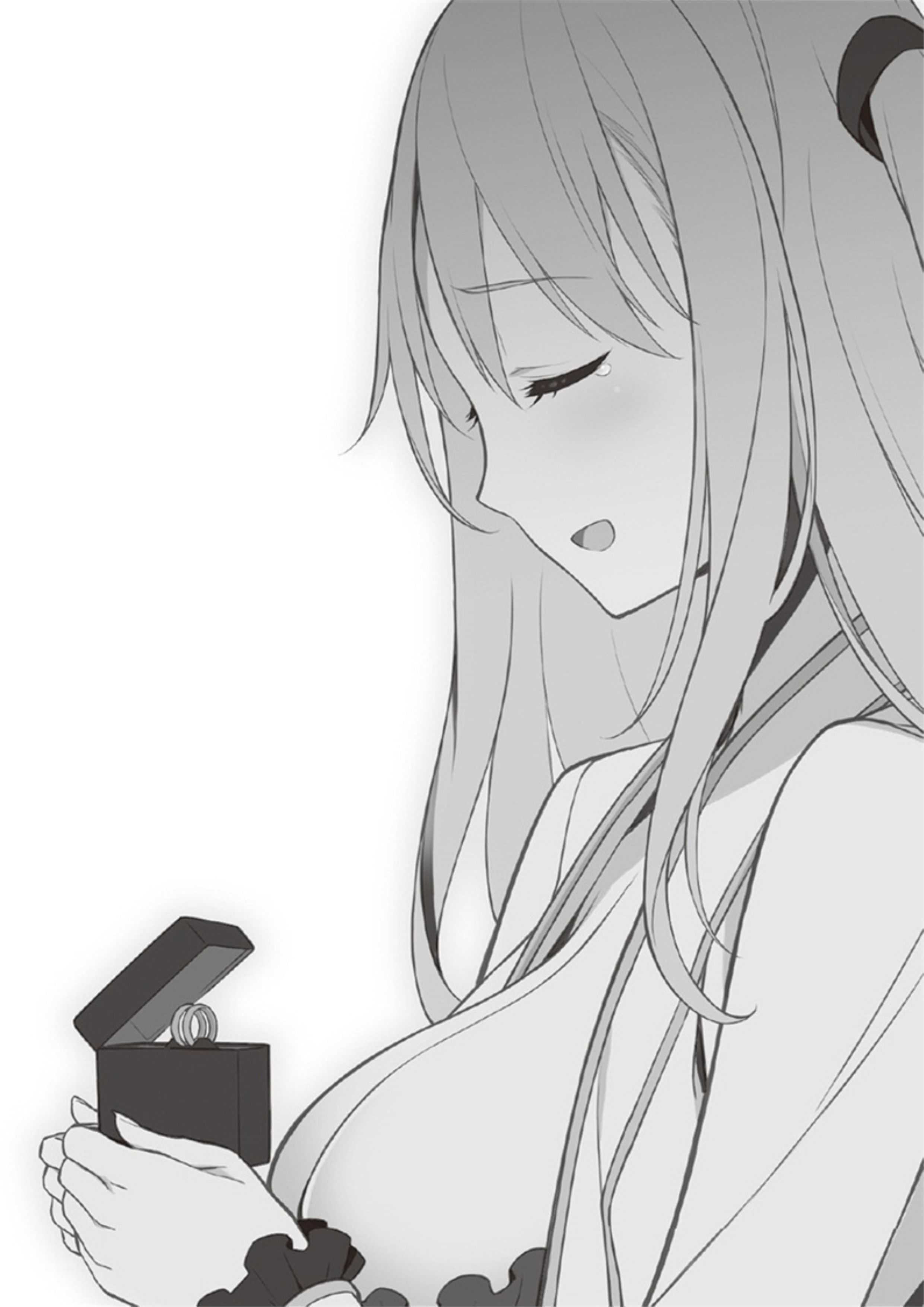 Kenja no Mago V8 Illustration - Megumi Novel