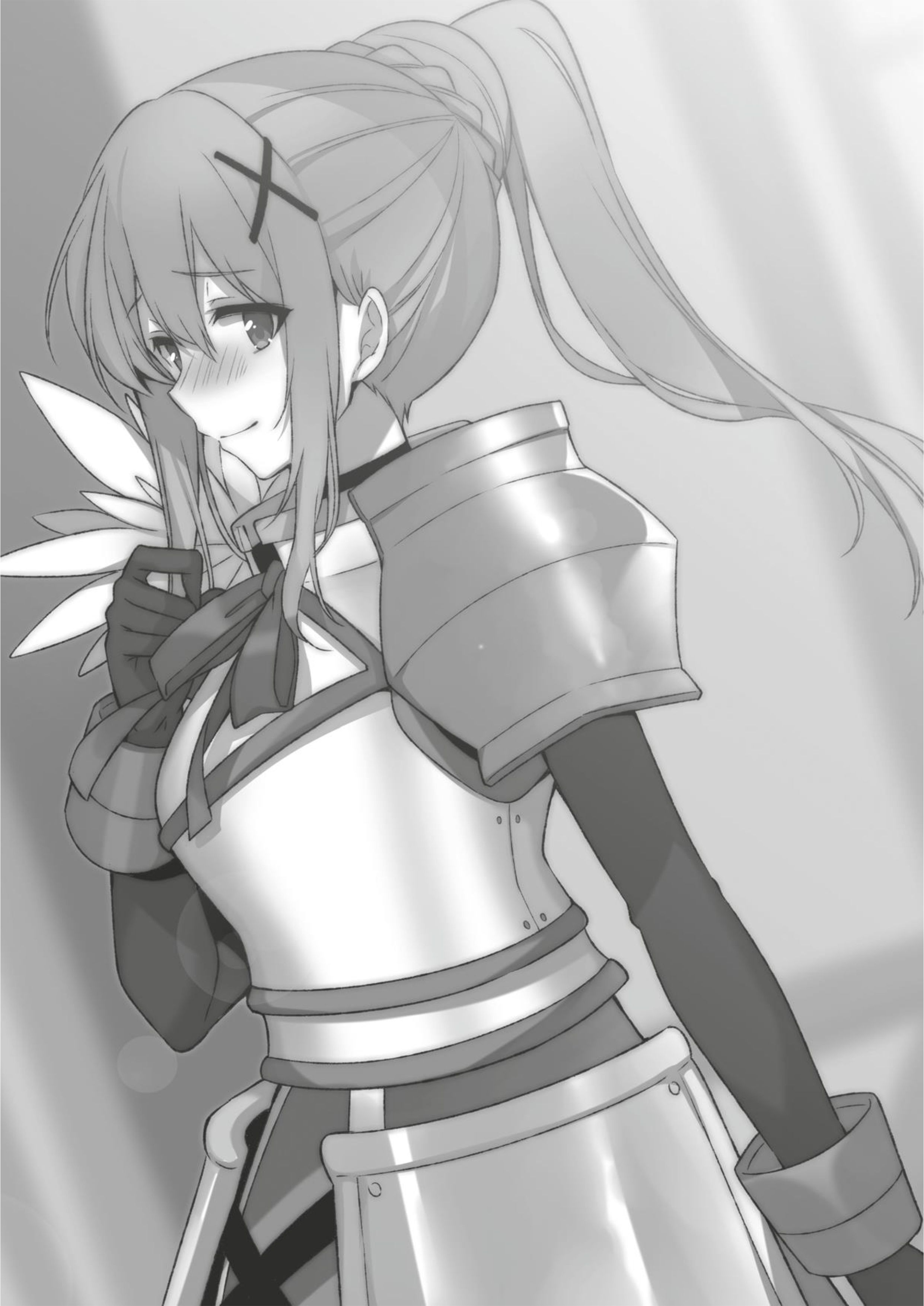 Konosuba V14 Illustration - Megumi Novel