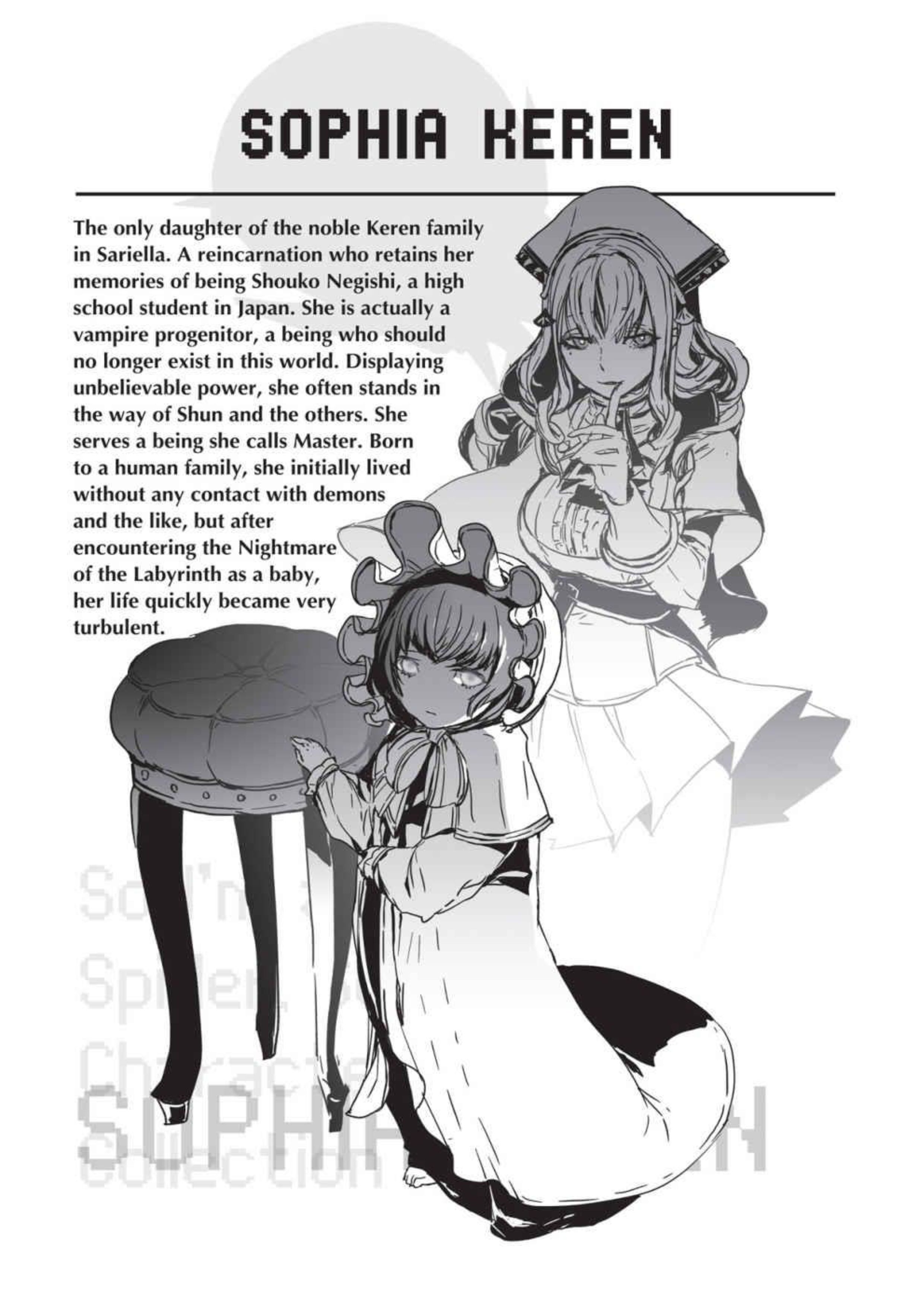 Kumo Desu ga - Nani ka V5 Illustration - Megumi Novel