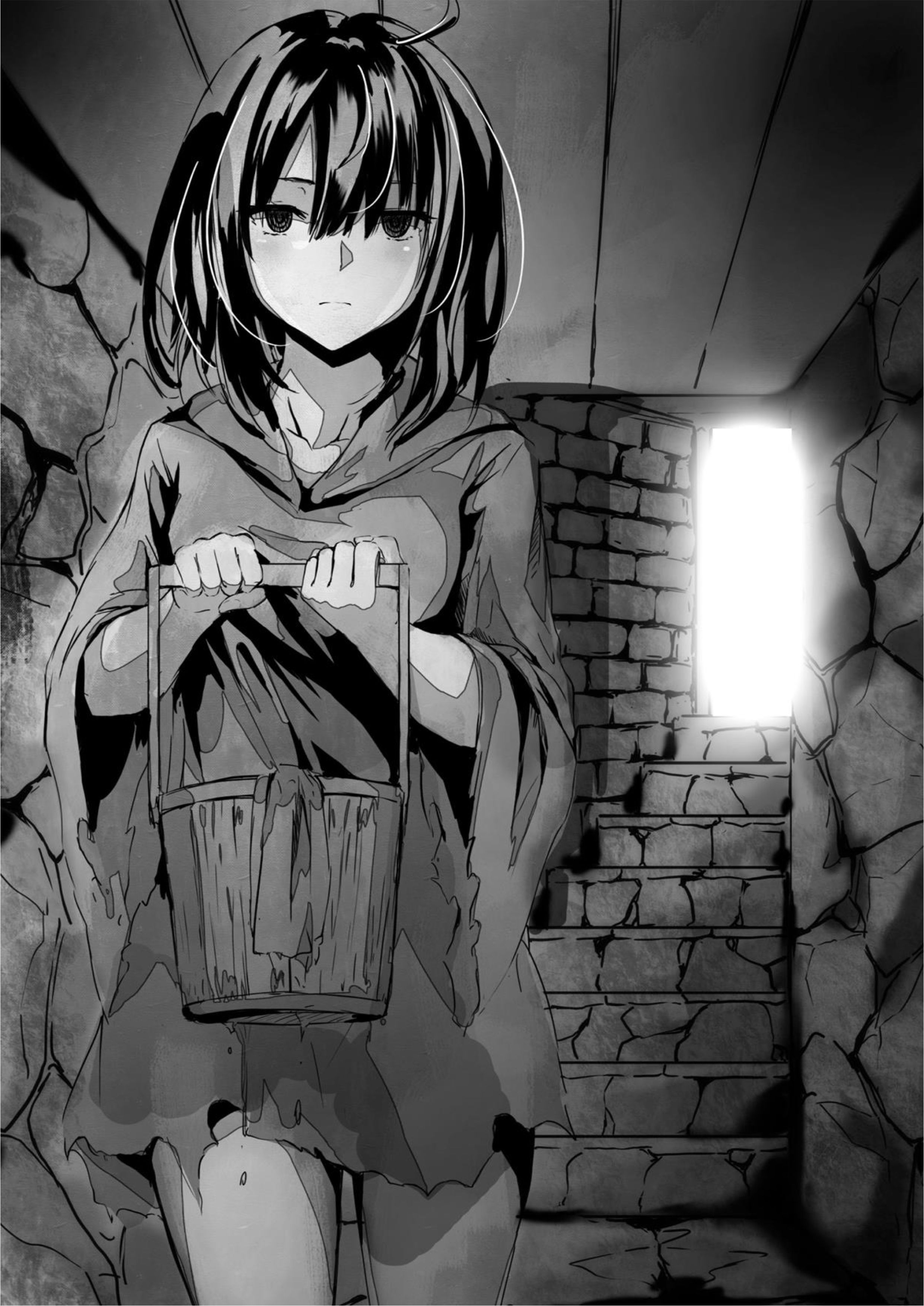 Kuraki Kyuuden no Shisha no Ou V1 Illustration - Megumi Novel