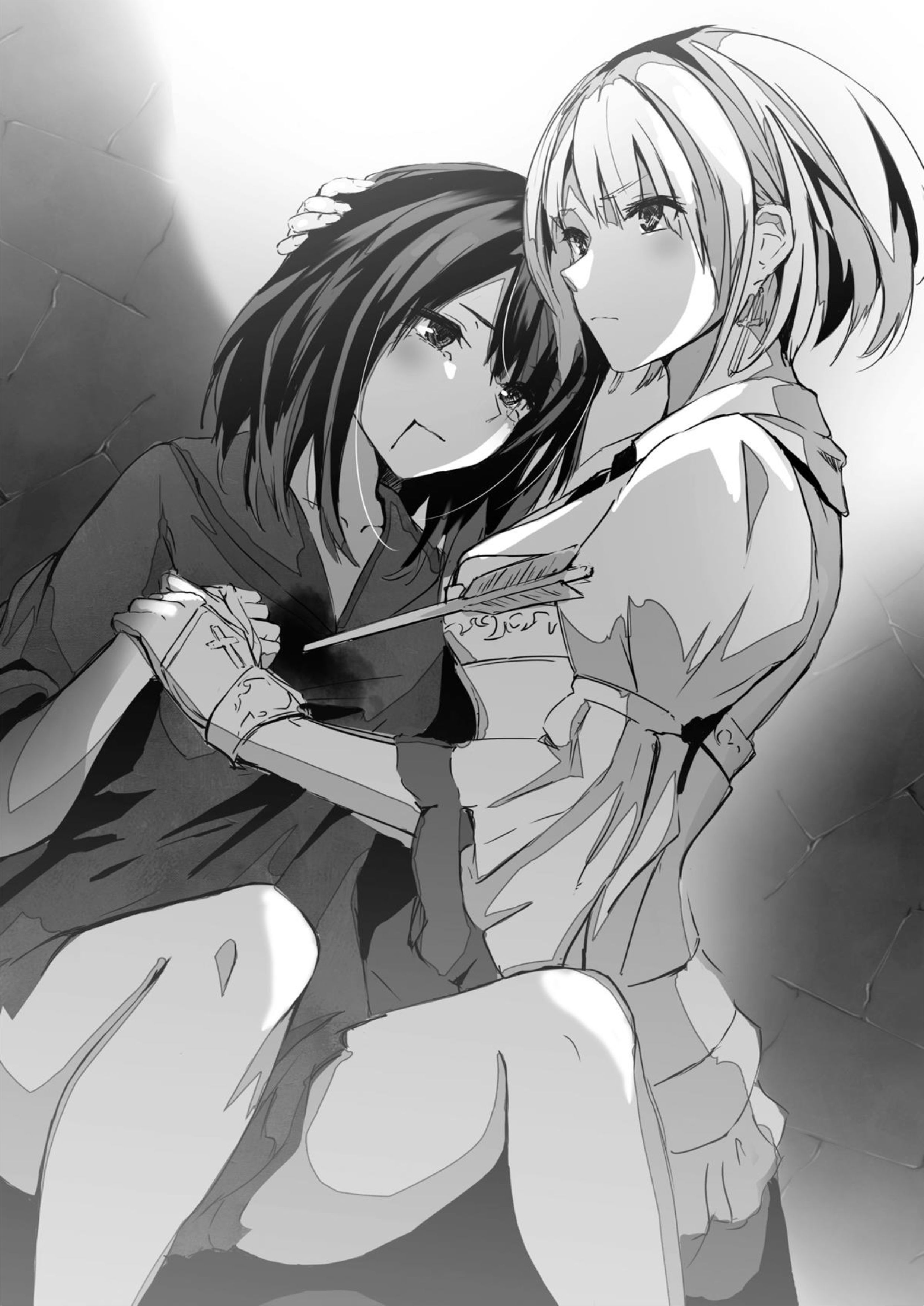 Kuraki Kyuuden no Shisha no Ou V1 Illustration - Megumi Novel