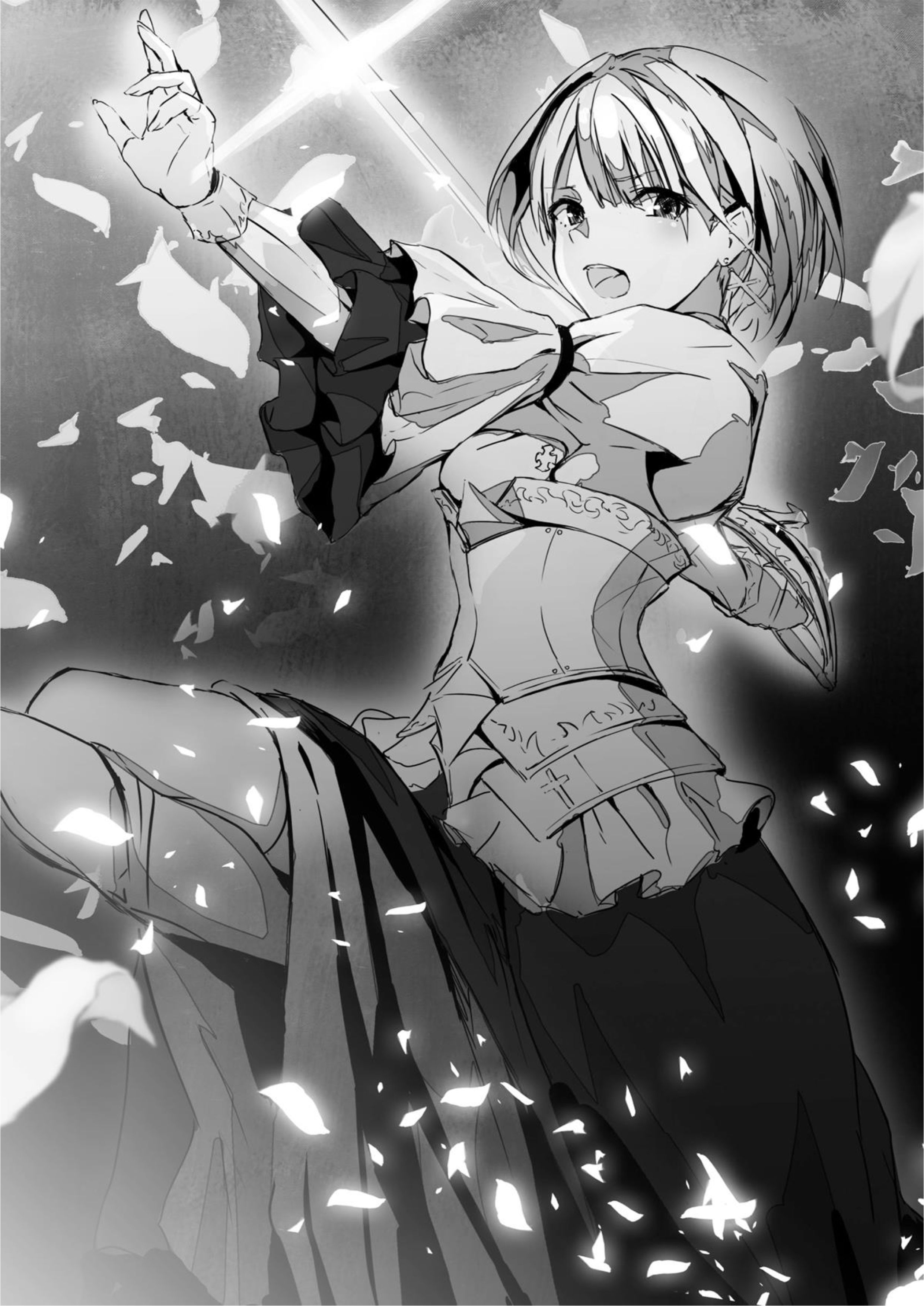 Kuraki Kyuuden no Shisha no Ou V1 Illustration - Megumi Novel