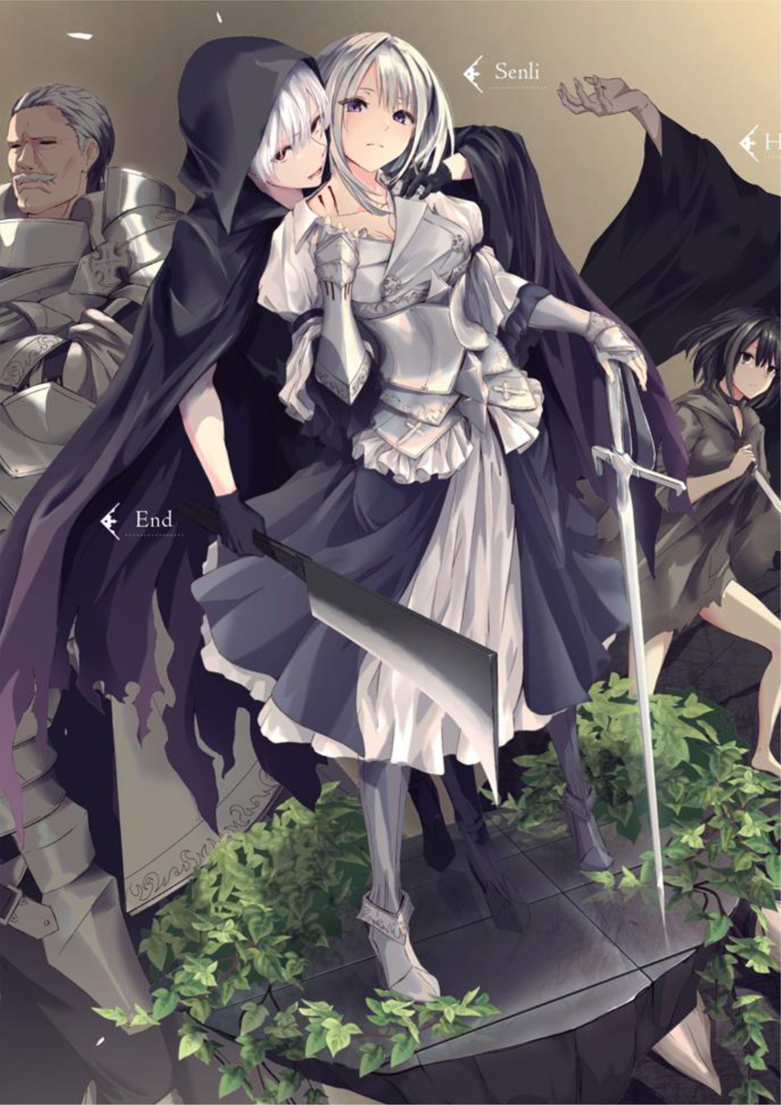 Kuraki Kyuuden no Shisha no Ou V1 Illustration - Megumi Novel